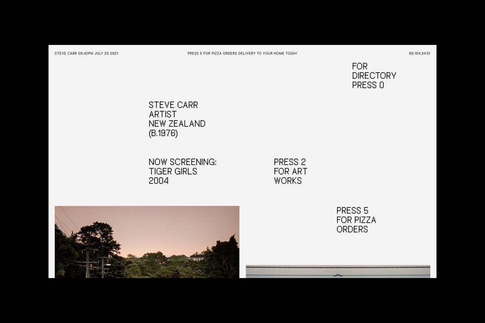 Sons & Co.がニュージーランドのアーティスト、スティーブ・カー（Steve Carr）のWebサイトを制作