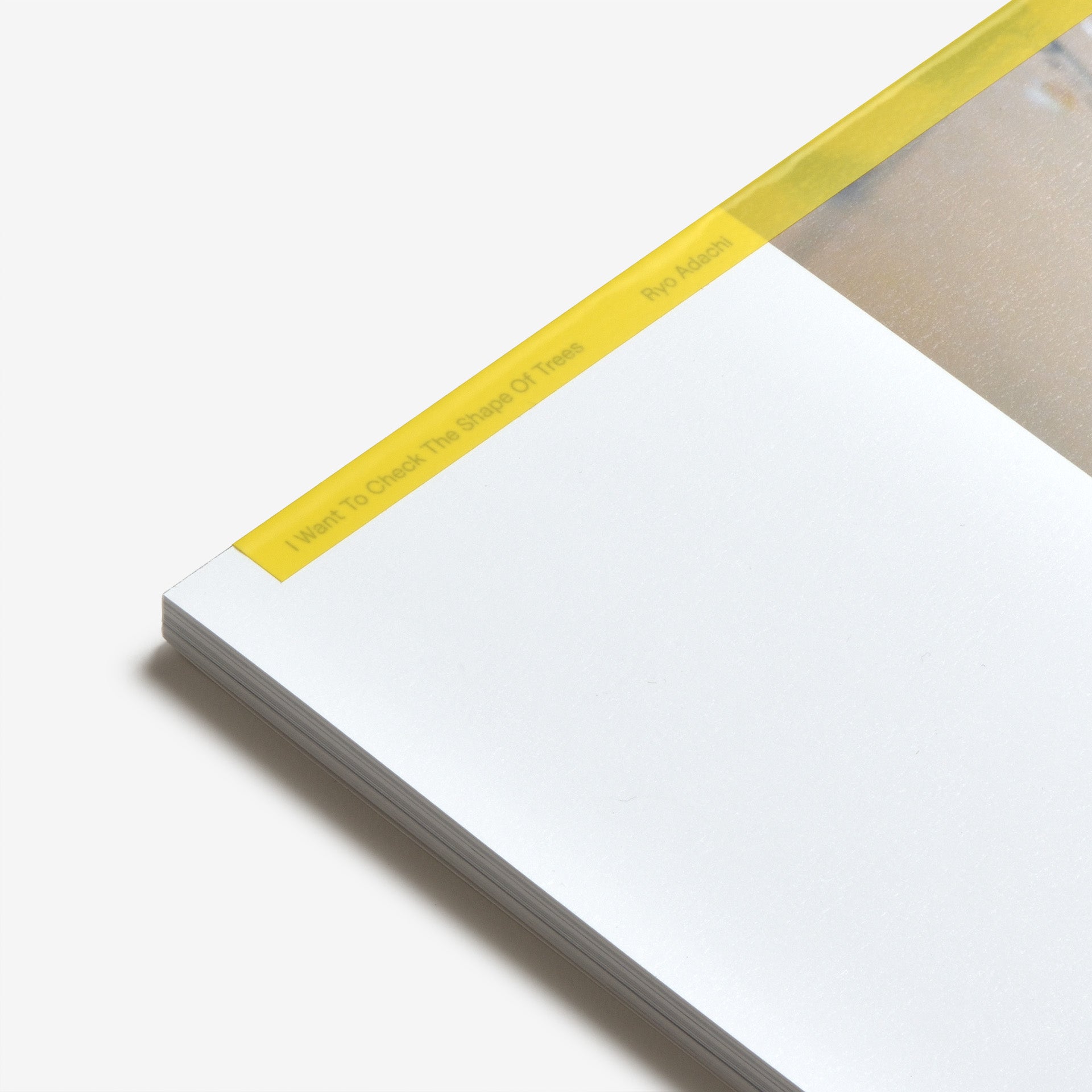 足立涼: I Want To Check The Shape Of Trees