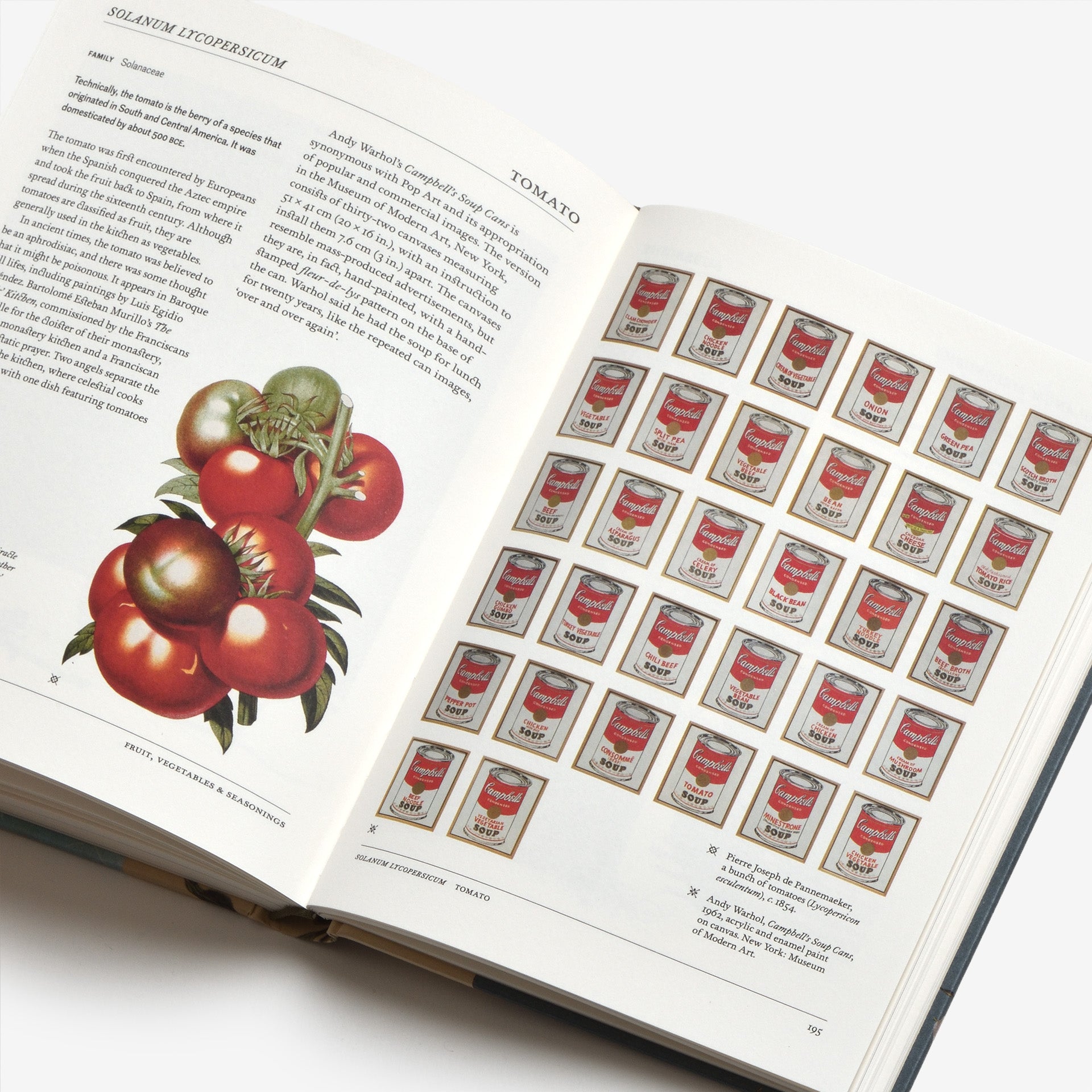 The Secret Language of Plants: Art, Nature & Symbolism