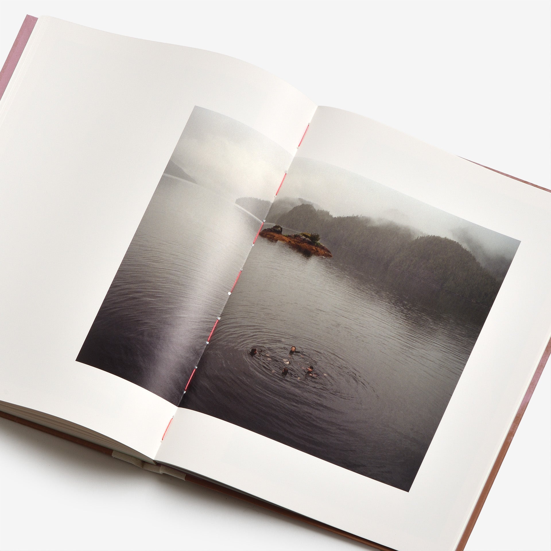 Siri Kaur: Sistermoon