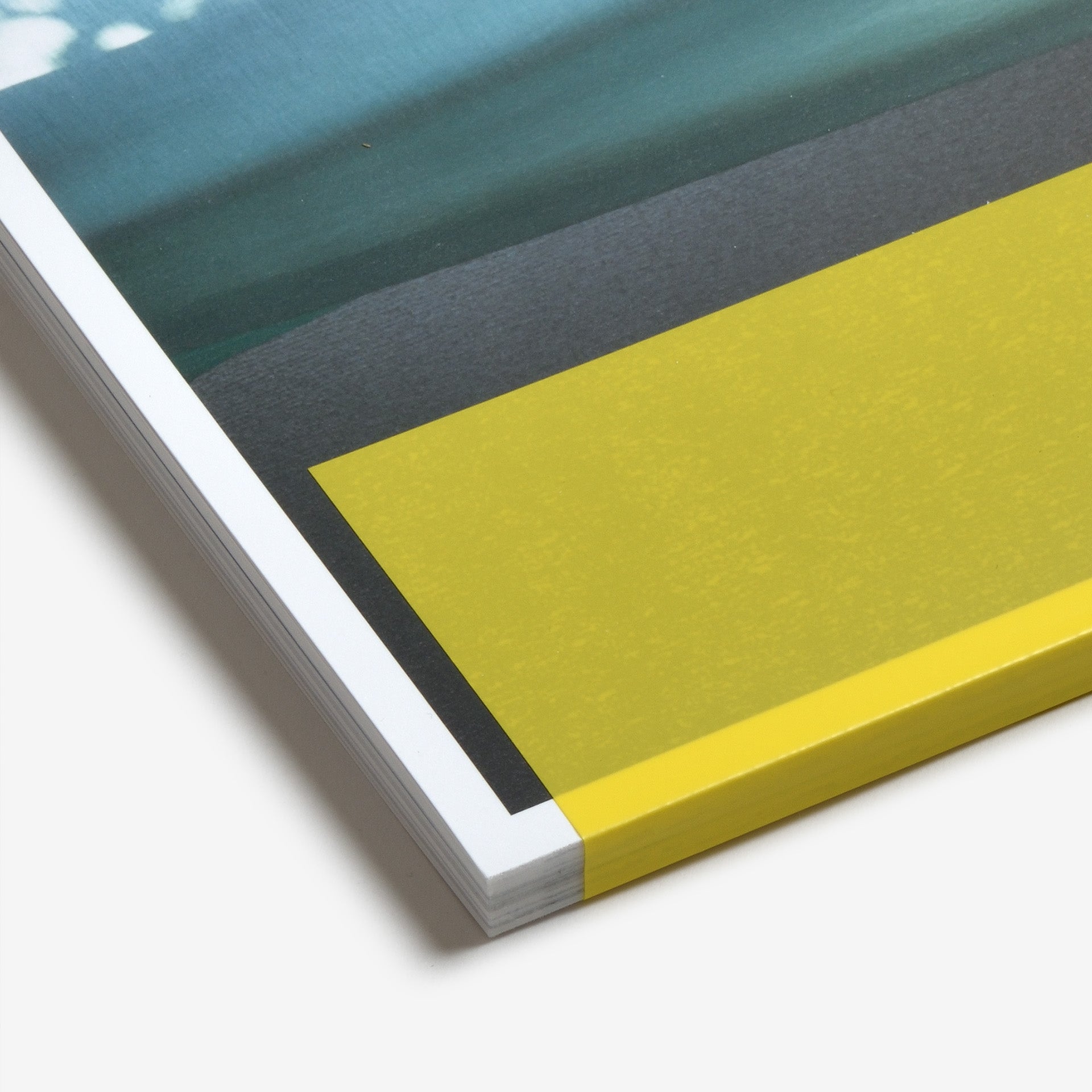 足立涼: I Want To Check The Shape Of Trees | North East