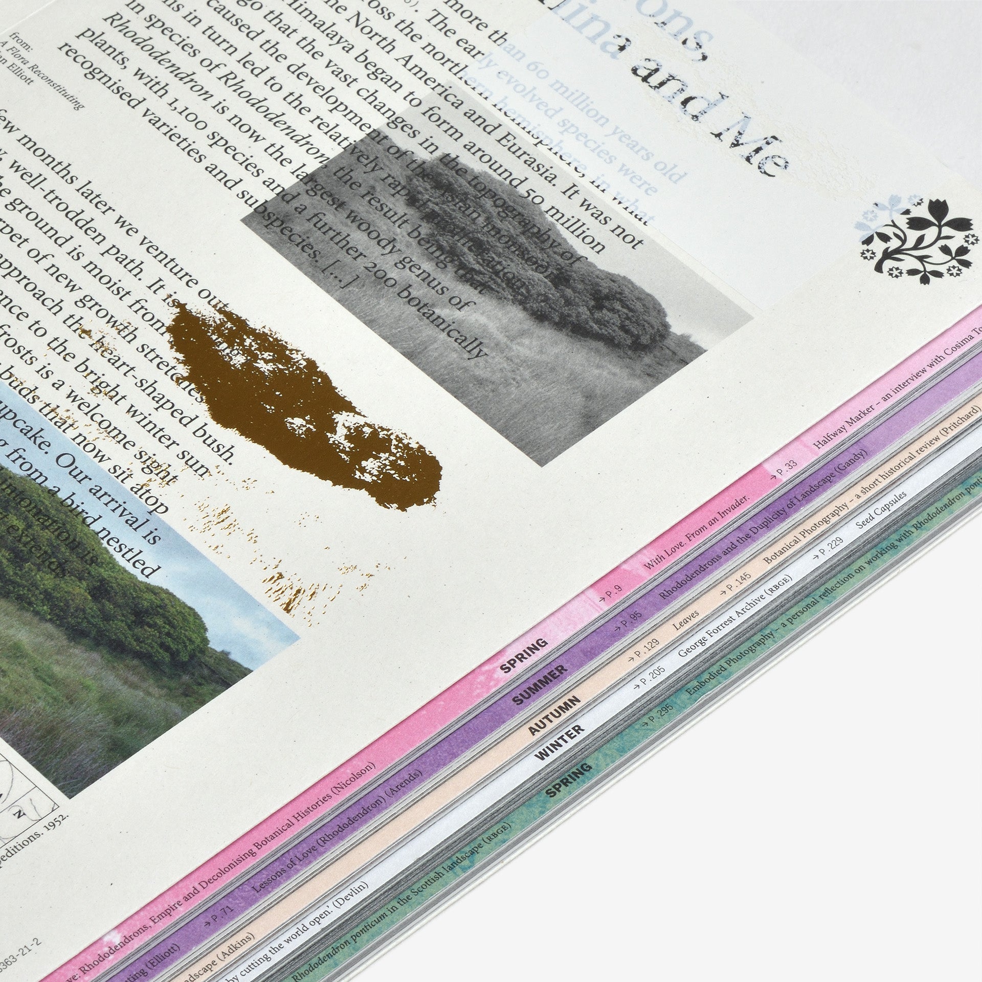 Yan Wang Preston: With love from an invader. – Rhododendrons, Empire, China and Me