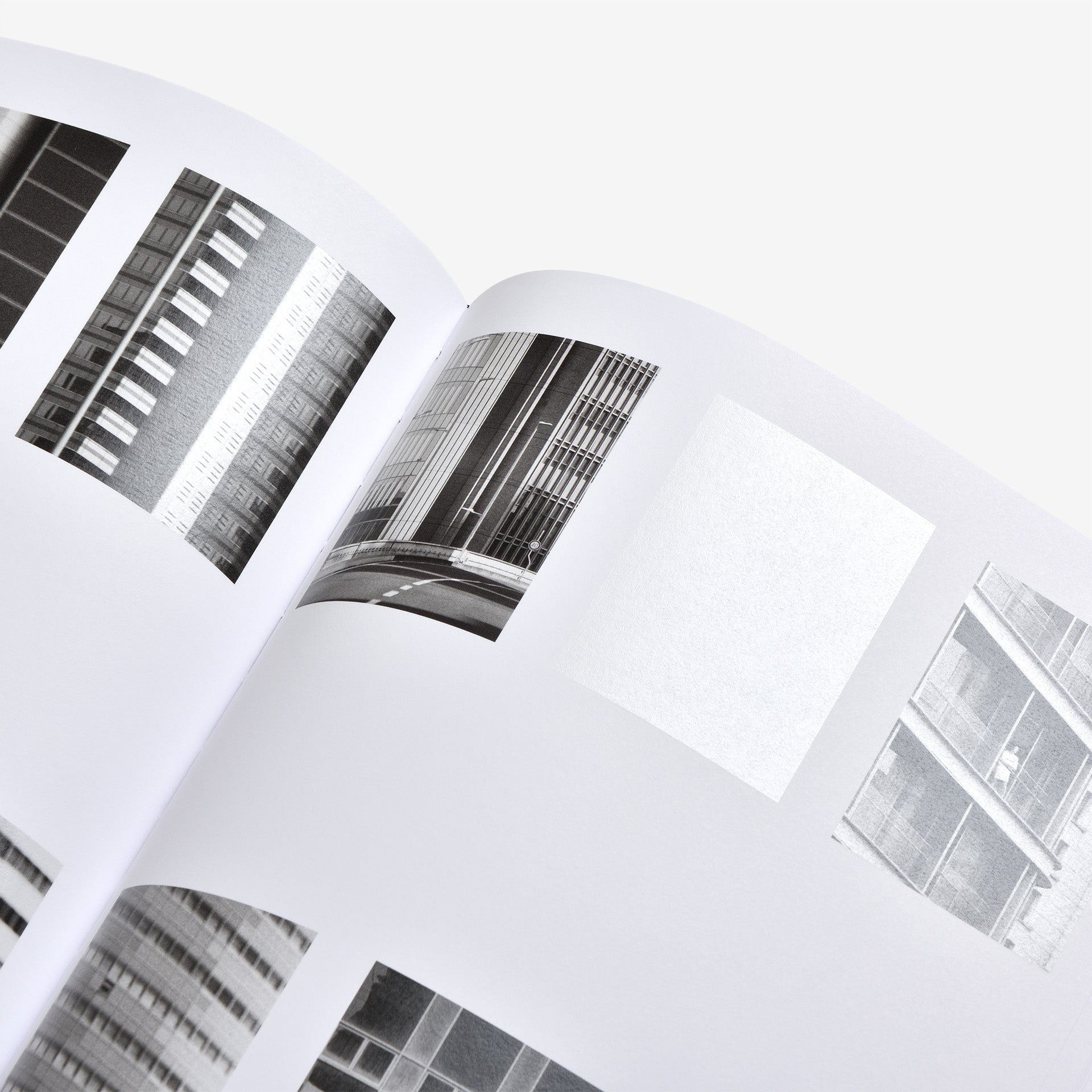 Daniel Shea: Distribution (Signed)