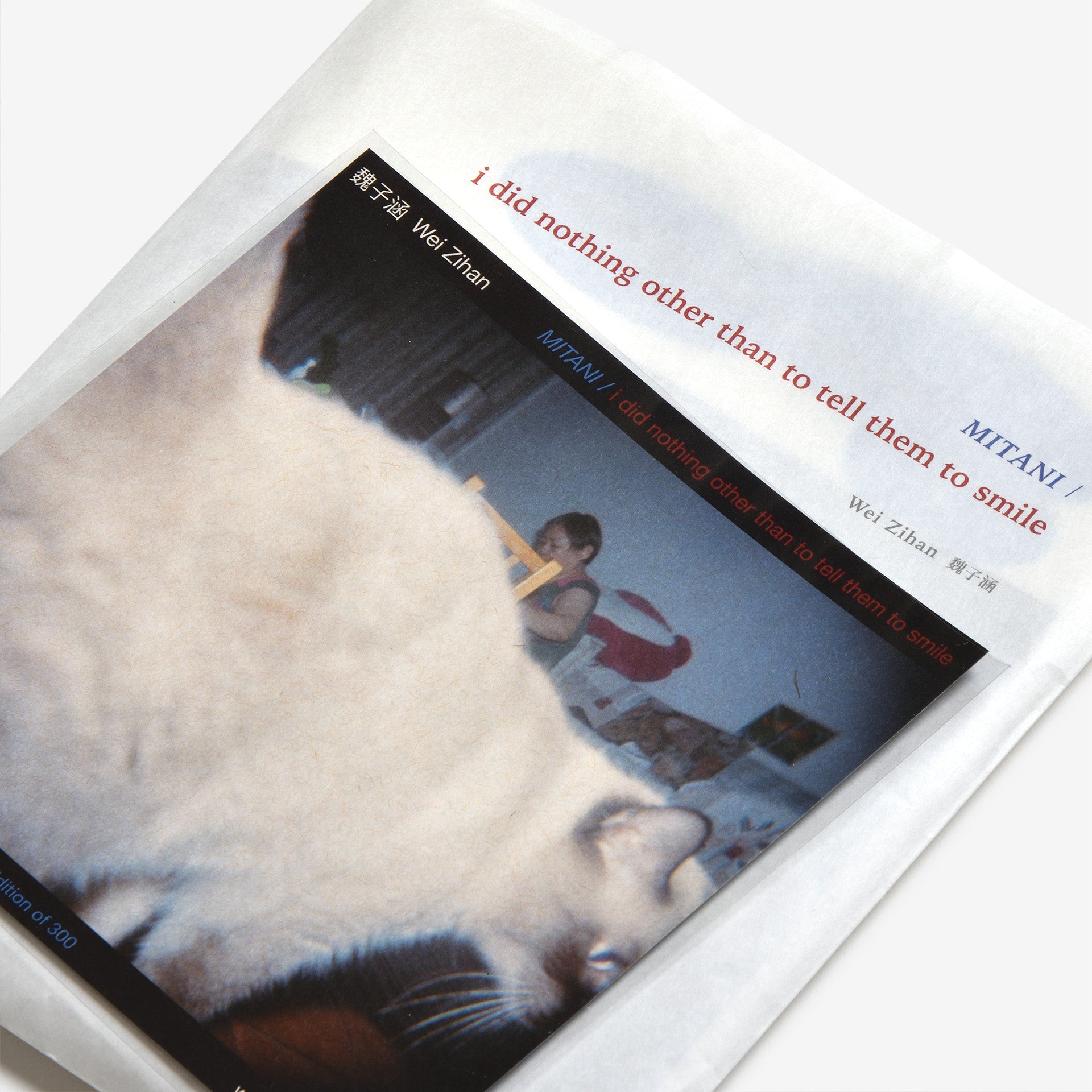 MITANI / I did nothing other than to tell them to smile（三谷 / ただ笑って、と伝えただけ）