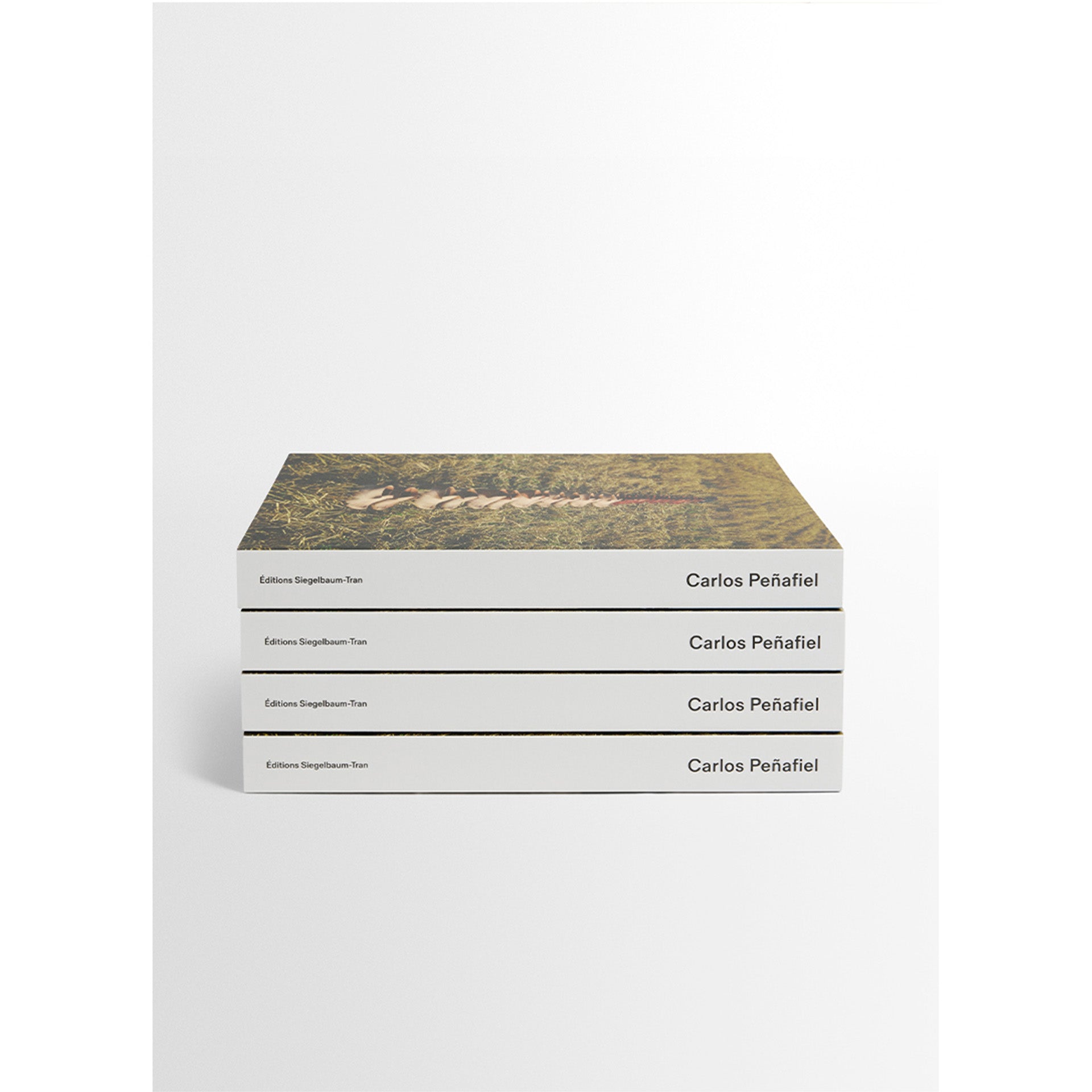 超希少❗️図録【6+ Antwerp Fashion】★マルジェラ/ドリス/洋書 Fashion | 本 | North East