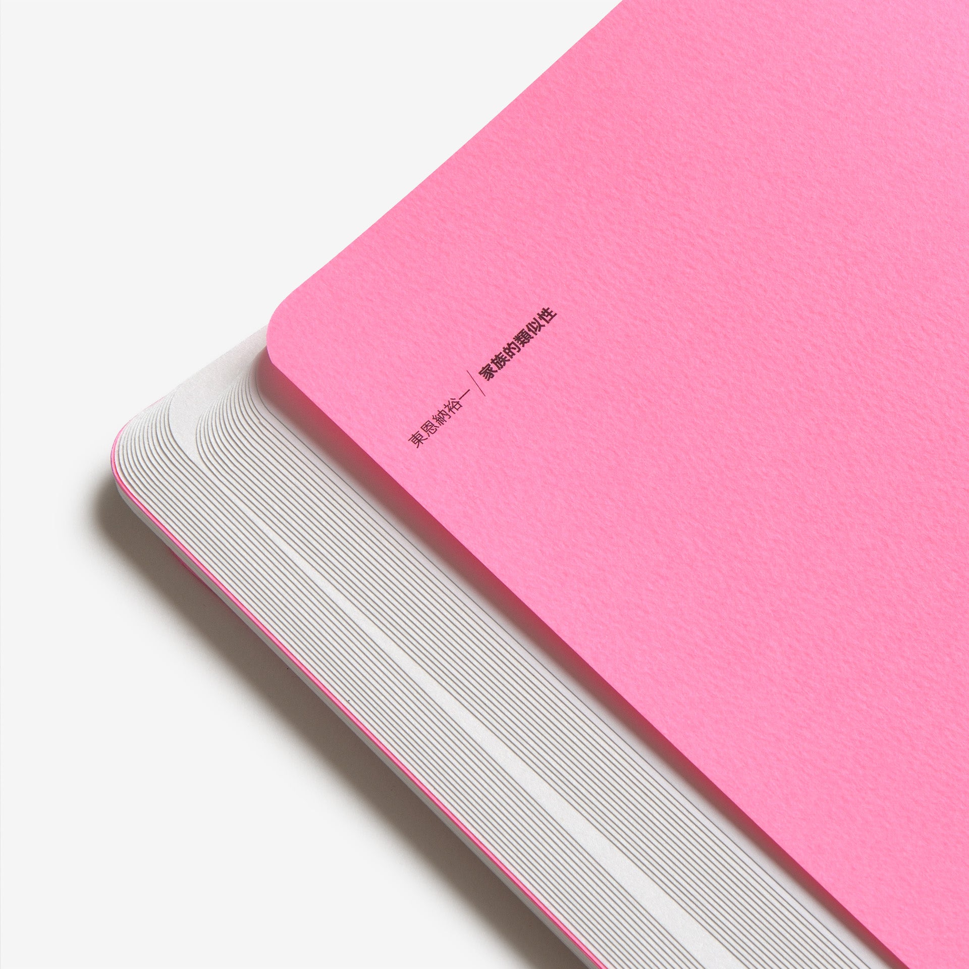 Yuichi Higashionna: Family Resemblance