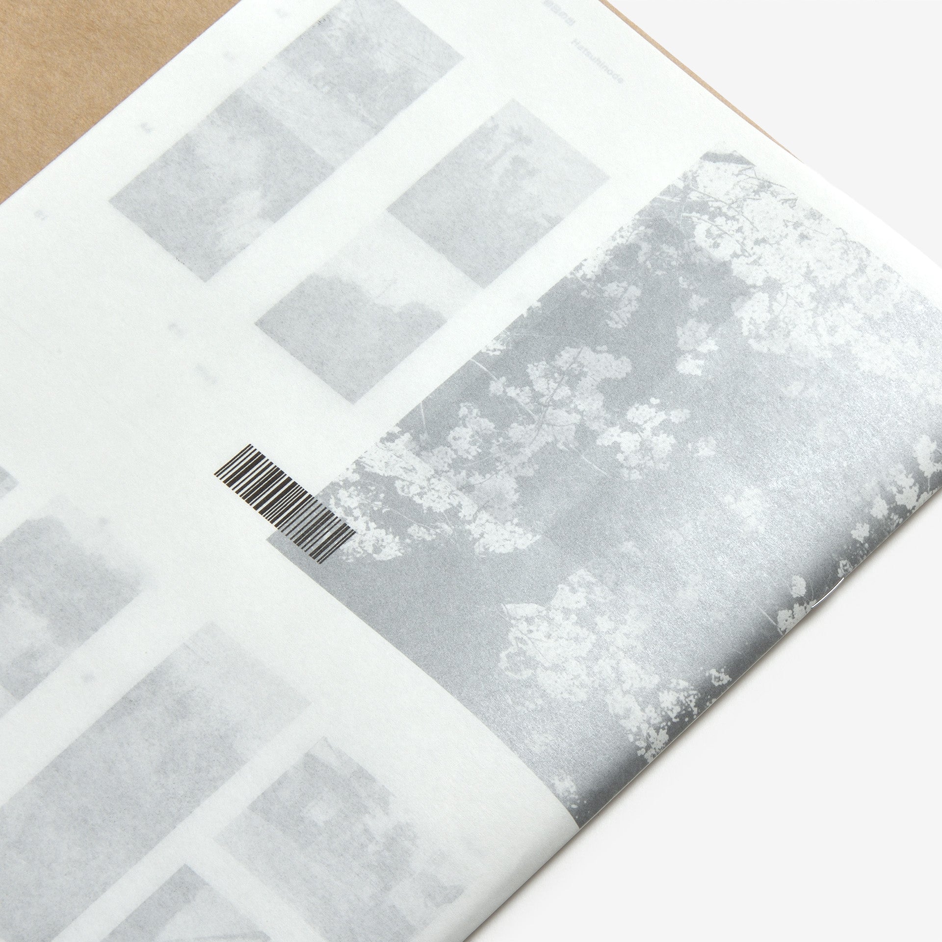 Masako Ohta, Matthias Lindermayr: Nozomi (Repress)