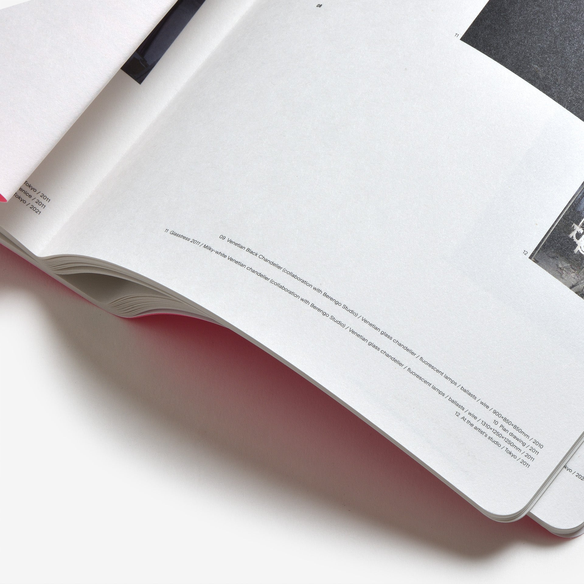 Yuichi Higashionna: Family Resemblance