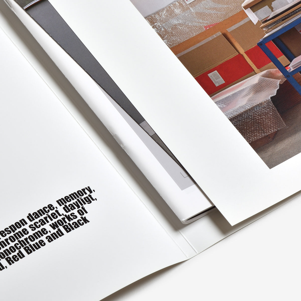 Takashi Suzuki / Studio