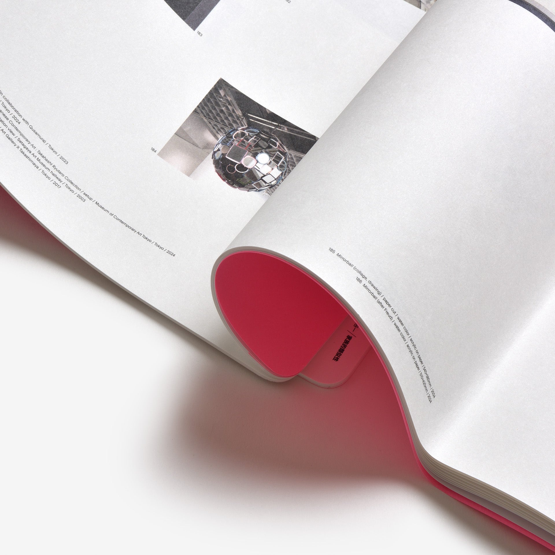 Yuichi Higashionna: Family Resemblance