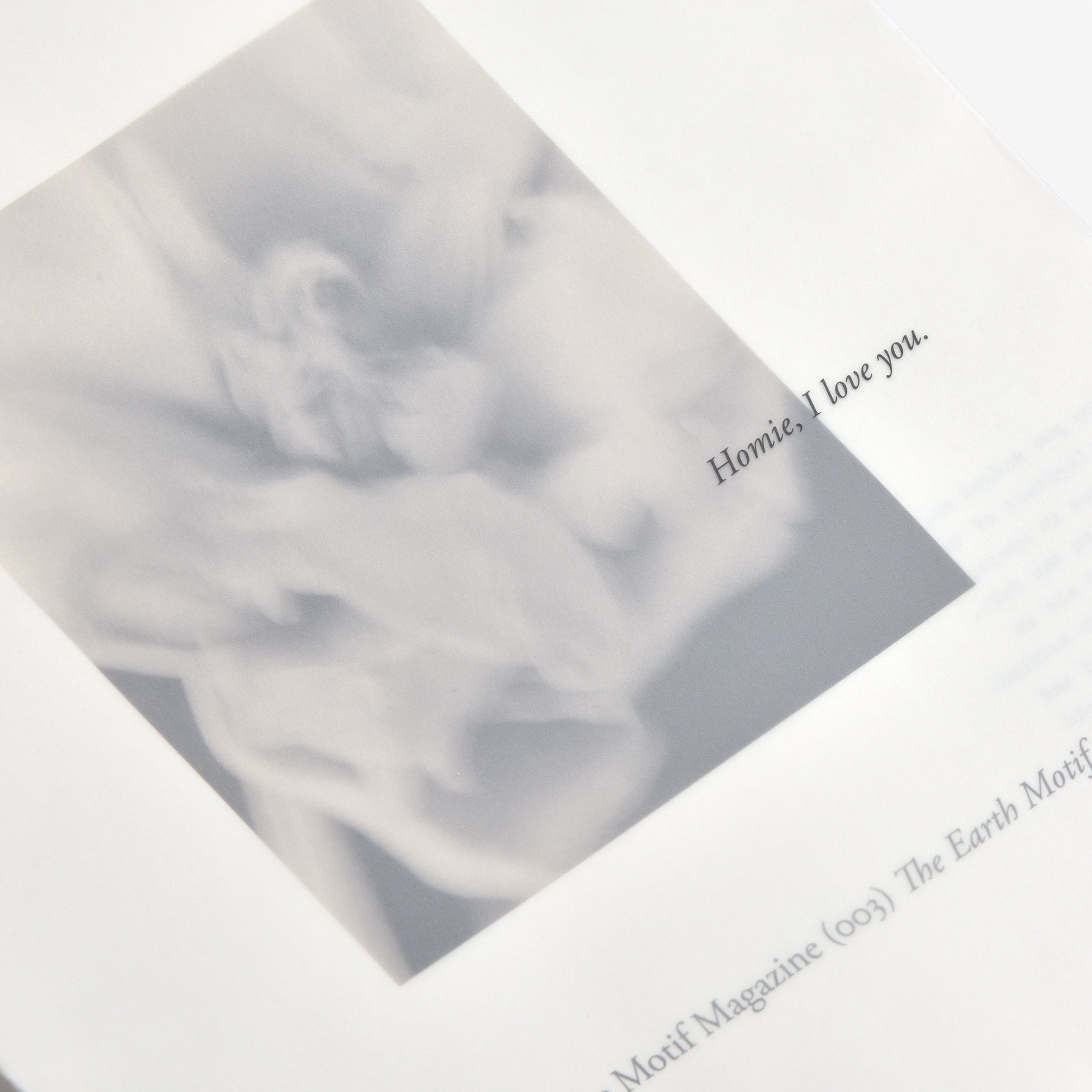 未開封新品 TASCHEN社 激レアアートブックDian Hanson 未開封新品 TASCHEN社 激レアアートブックDian Hanson