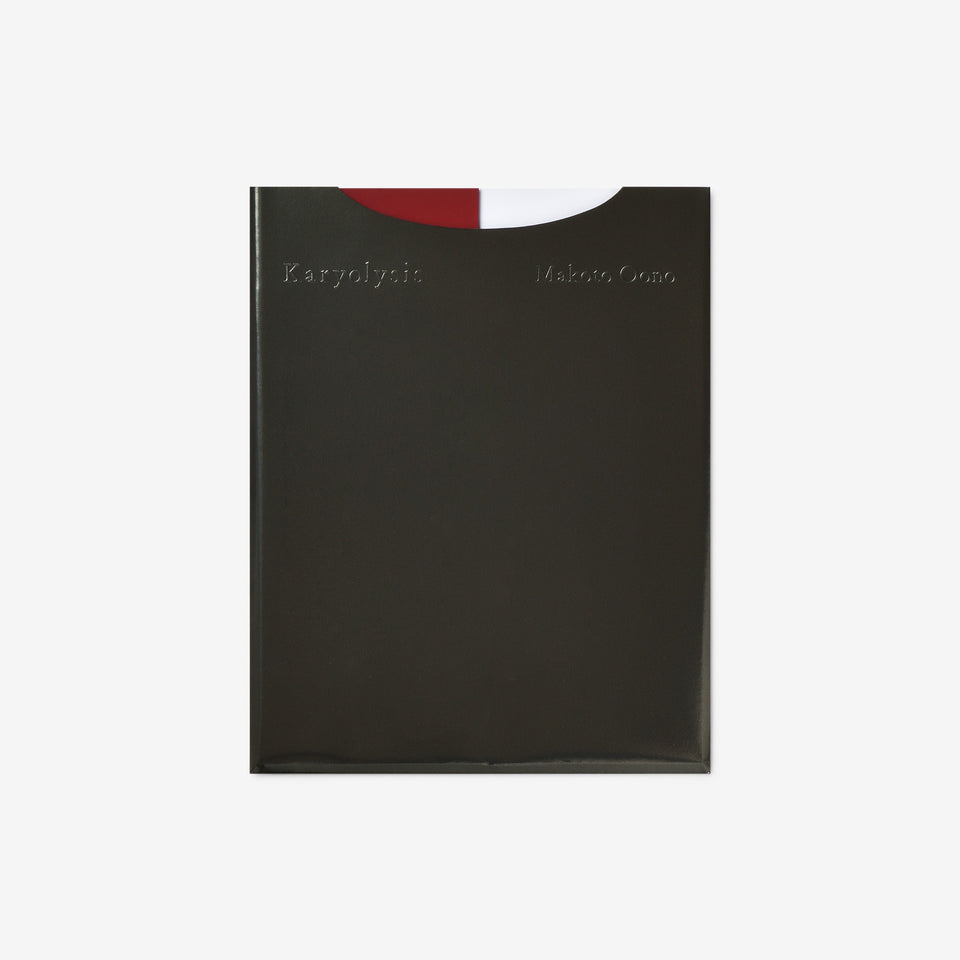 大野真人: Karyolysis