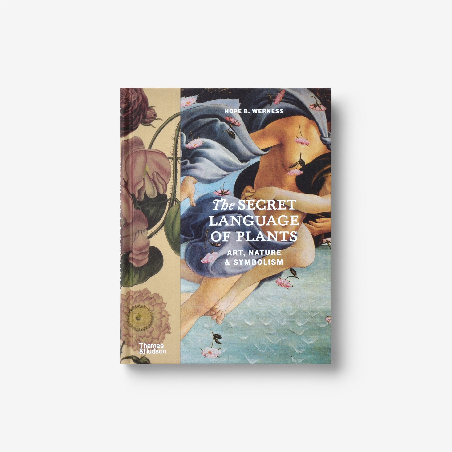 The Secret Language of Plants: Art, Nature & Symbolism