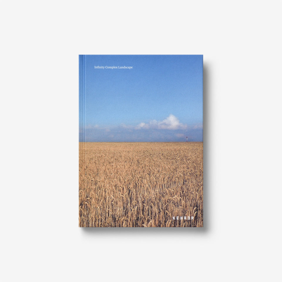 Yoshie Itasaka: Infinity Complex Landscap