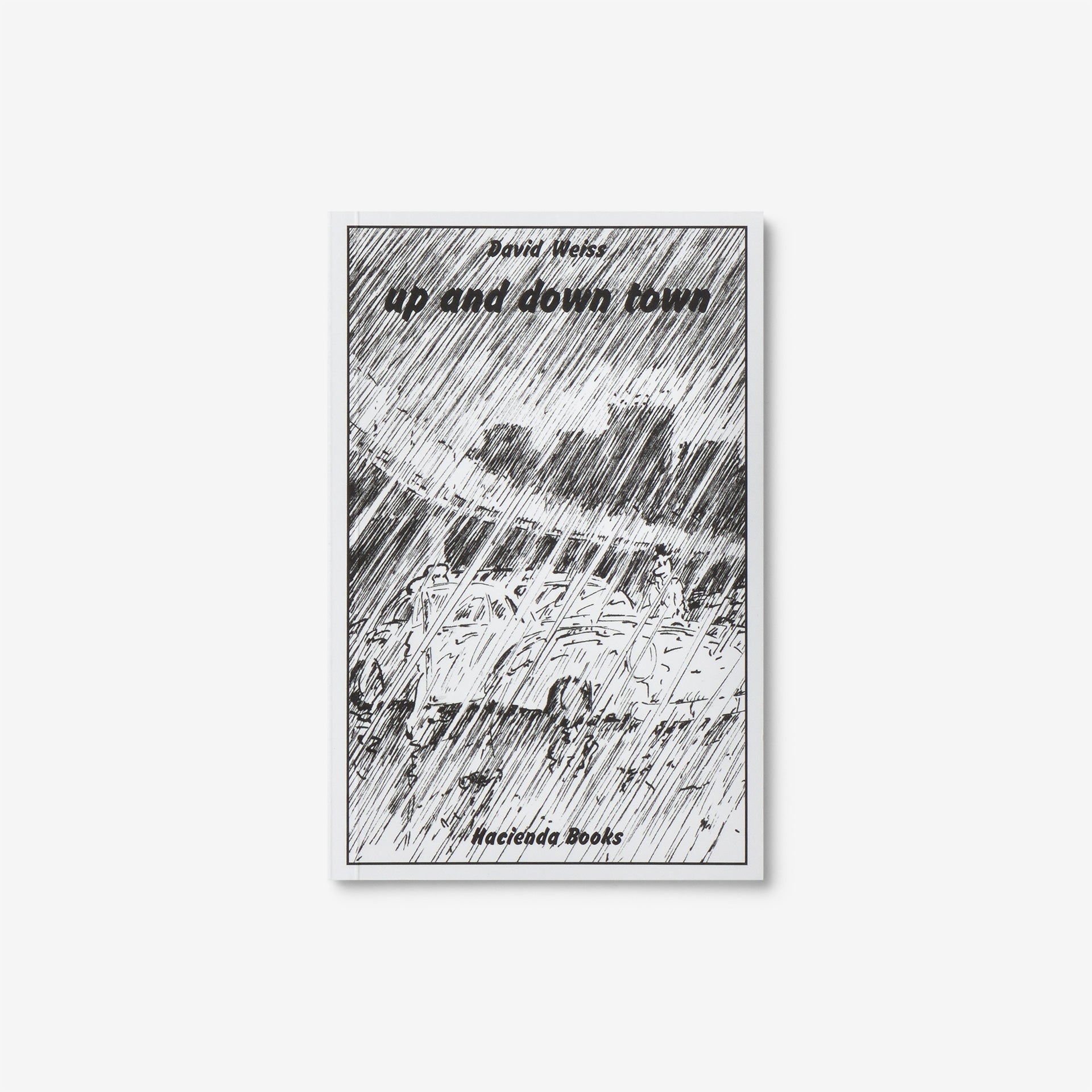 David Weiss: up and down town / Regenbüchlein