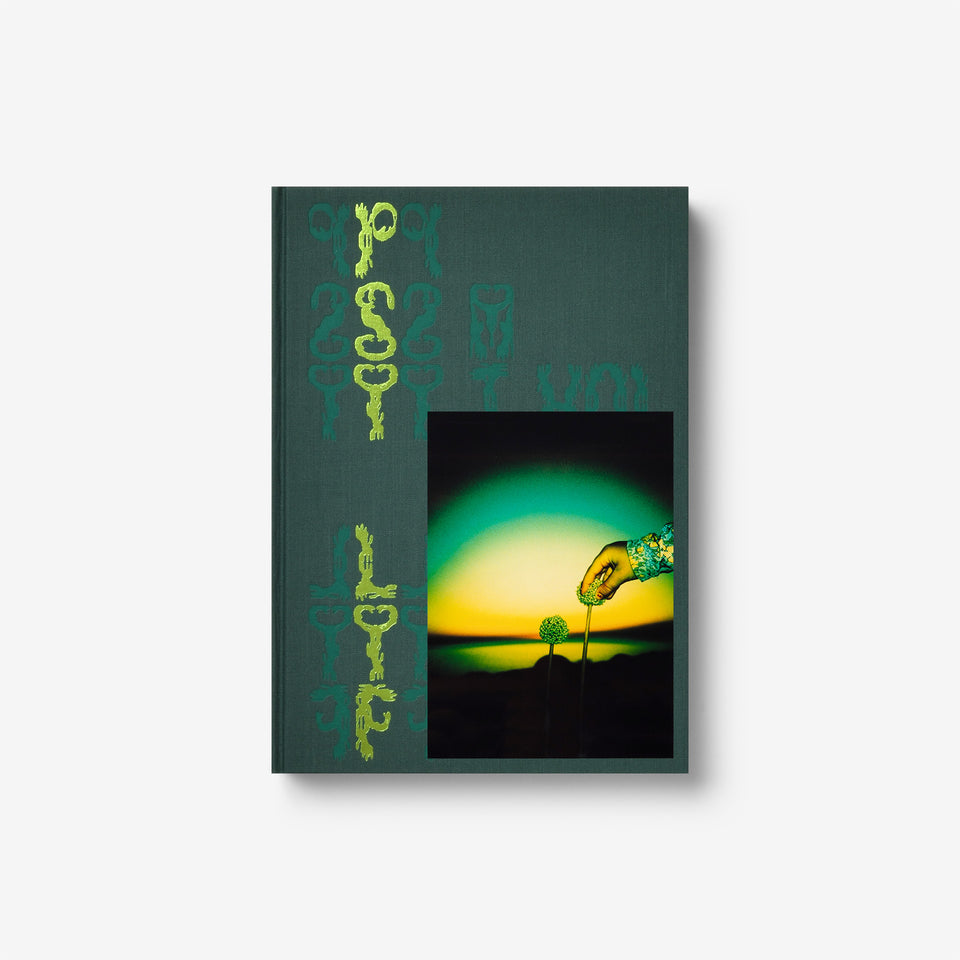 Misha Hollenbach: PSY LYF (B)