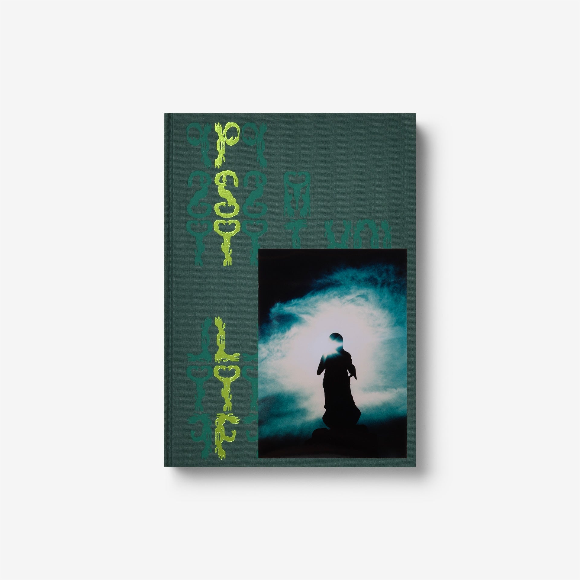 Misha Hollenbach: PSY LYF (C)