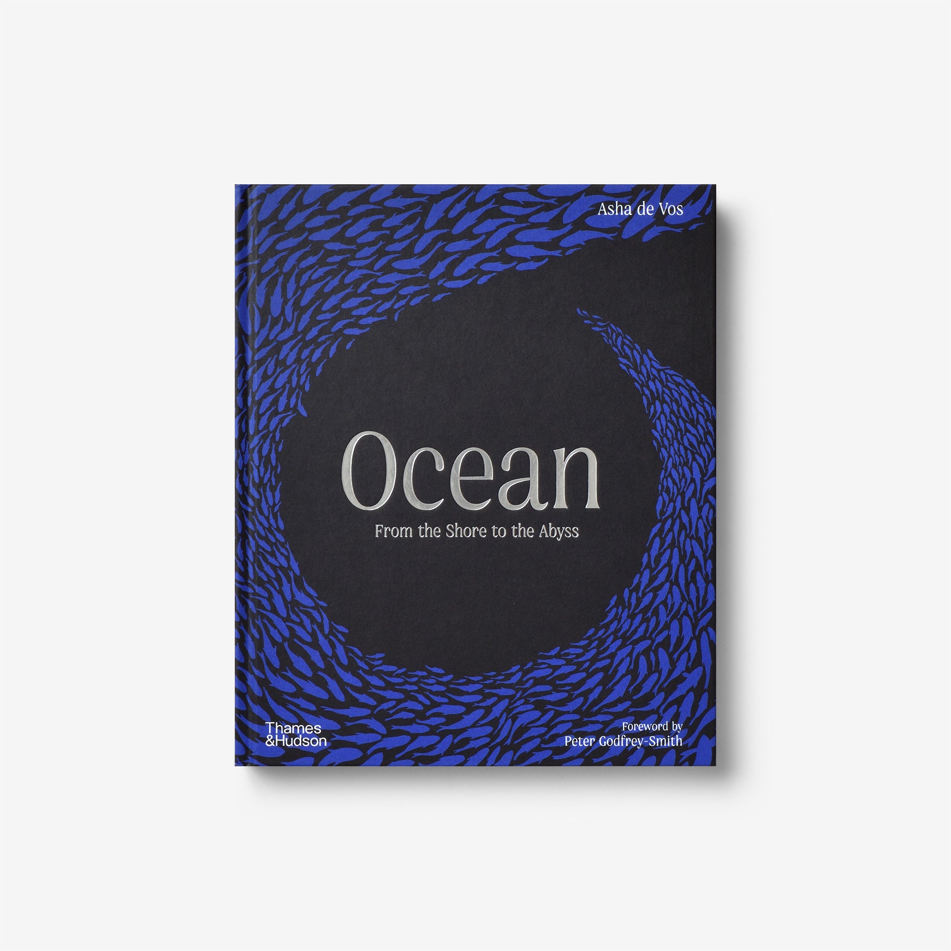 Ocean: From the Shore to the Abyss
