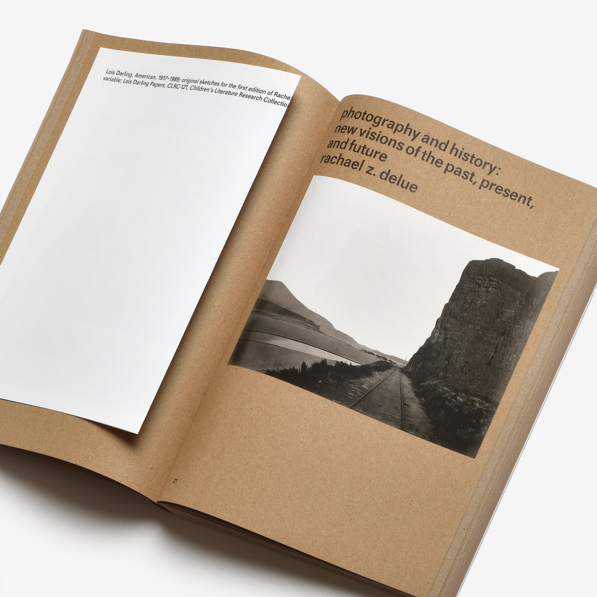 Widening the Lens: Photography, Ecology, and the Contemporary Landscape