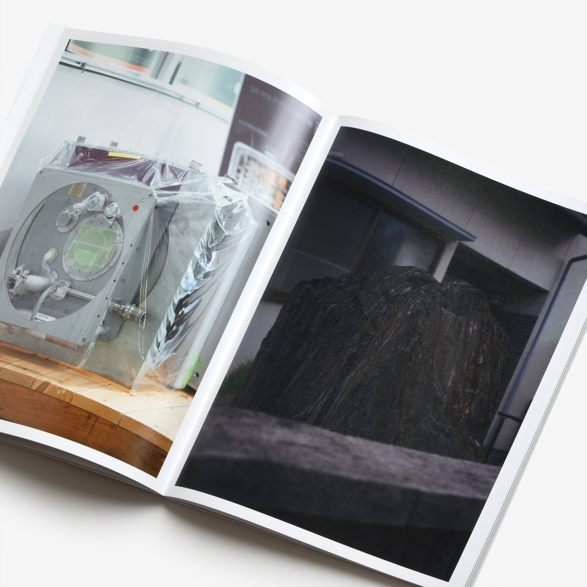 足立涼: I Want To Check The Shape Of Trees | North East