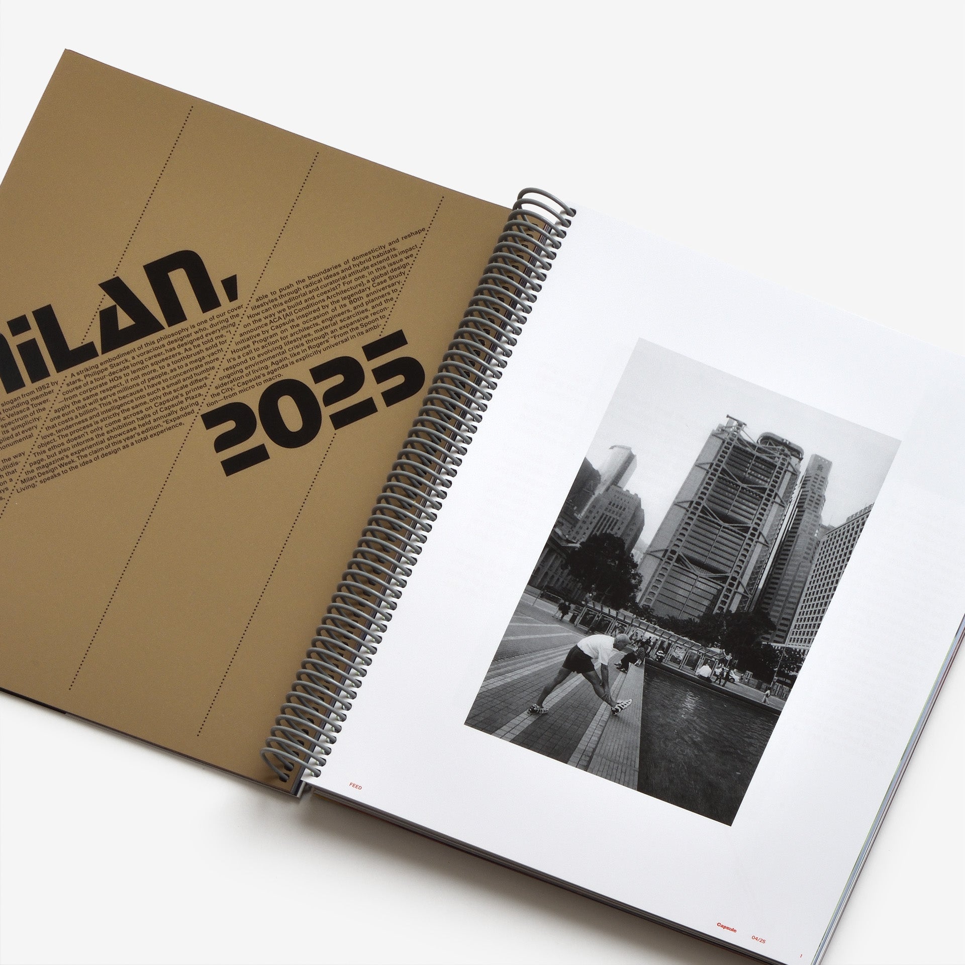 Capsule Issue 4 – The Architecture of DSM