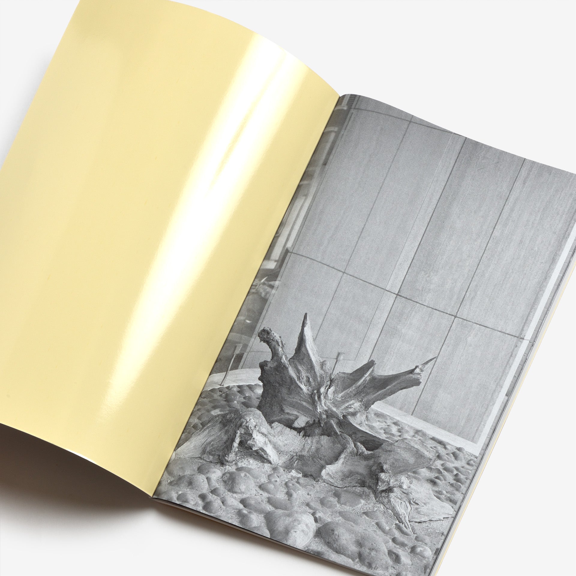 Michel Mazzoni: Other Things