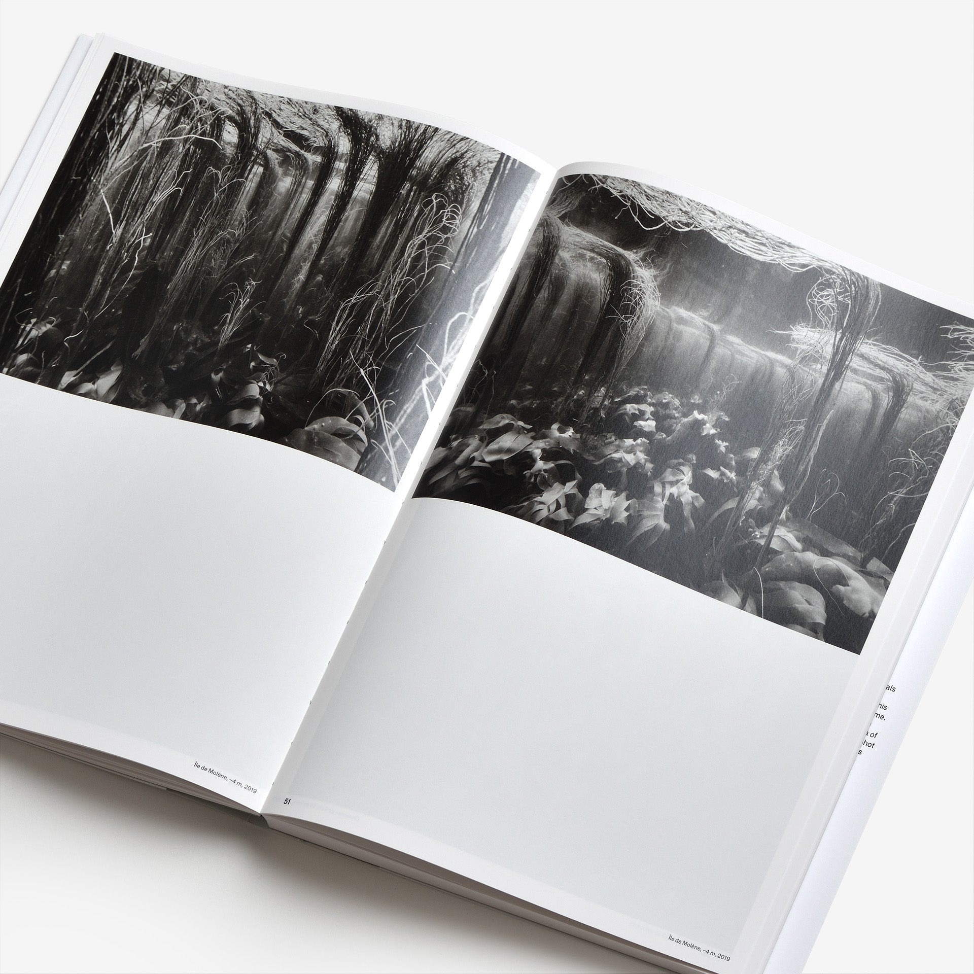 Nicolas Floc’h: Initium Maris