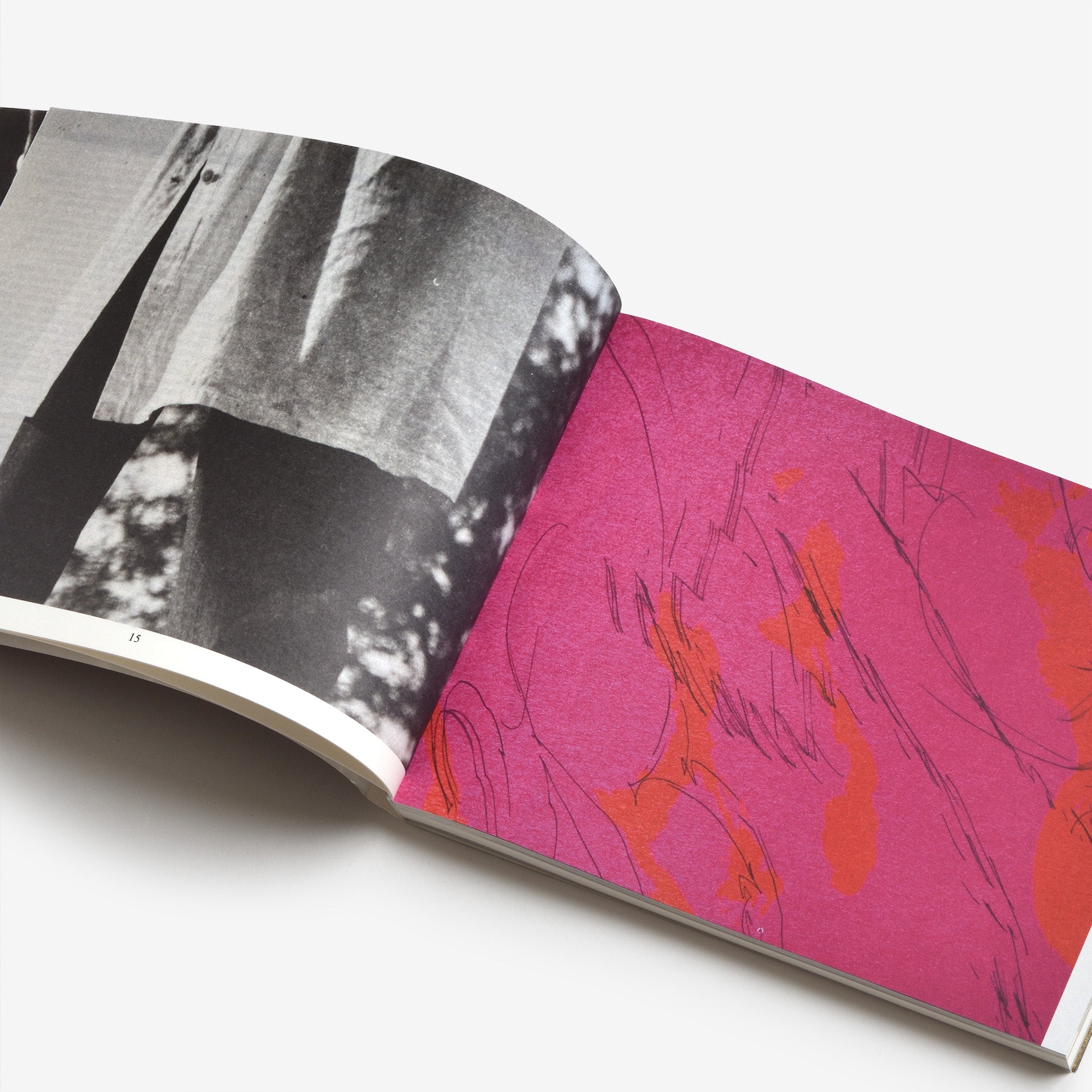 The Most Beautiful Swiss Books 2024