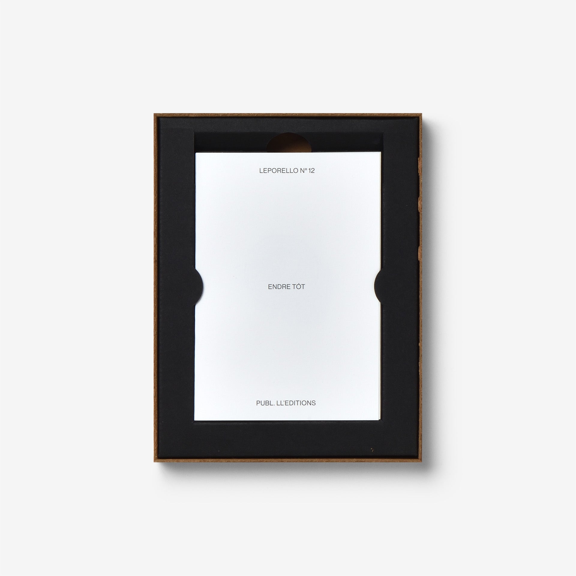 Leporello N° 12 by Endre Tót