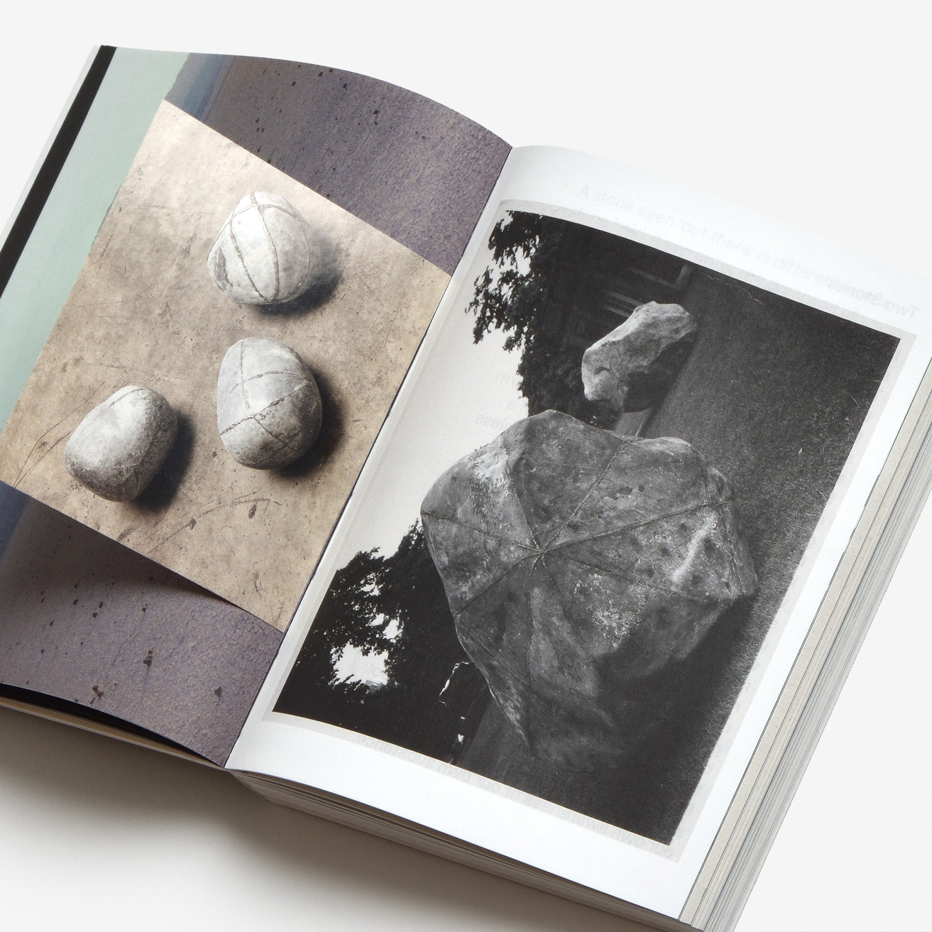 Antony Gormley: Formation