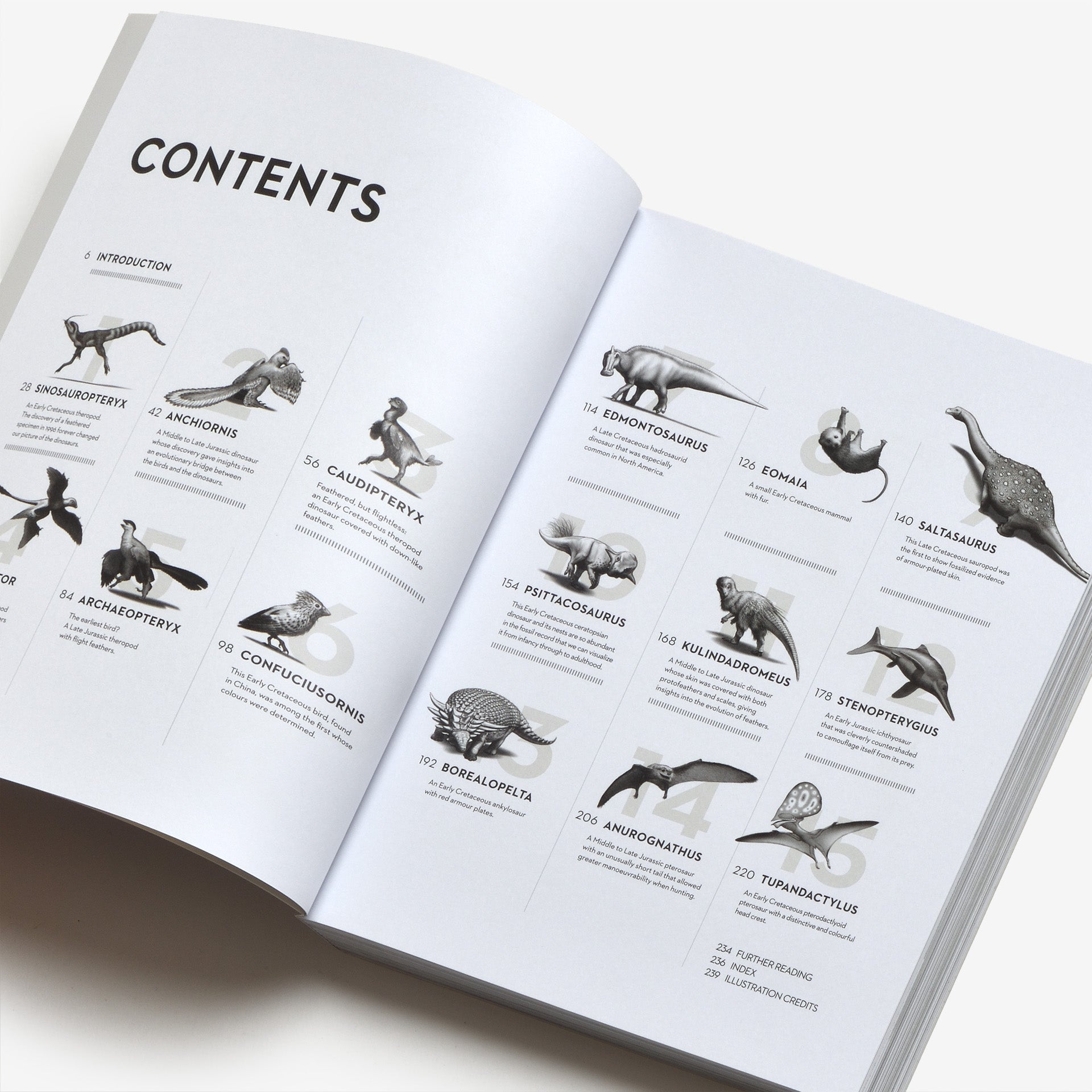 Dinosaurs: New Visions of a Lost World | North East