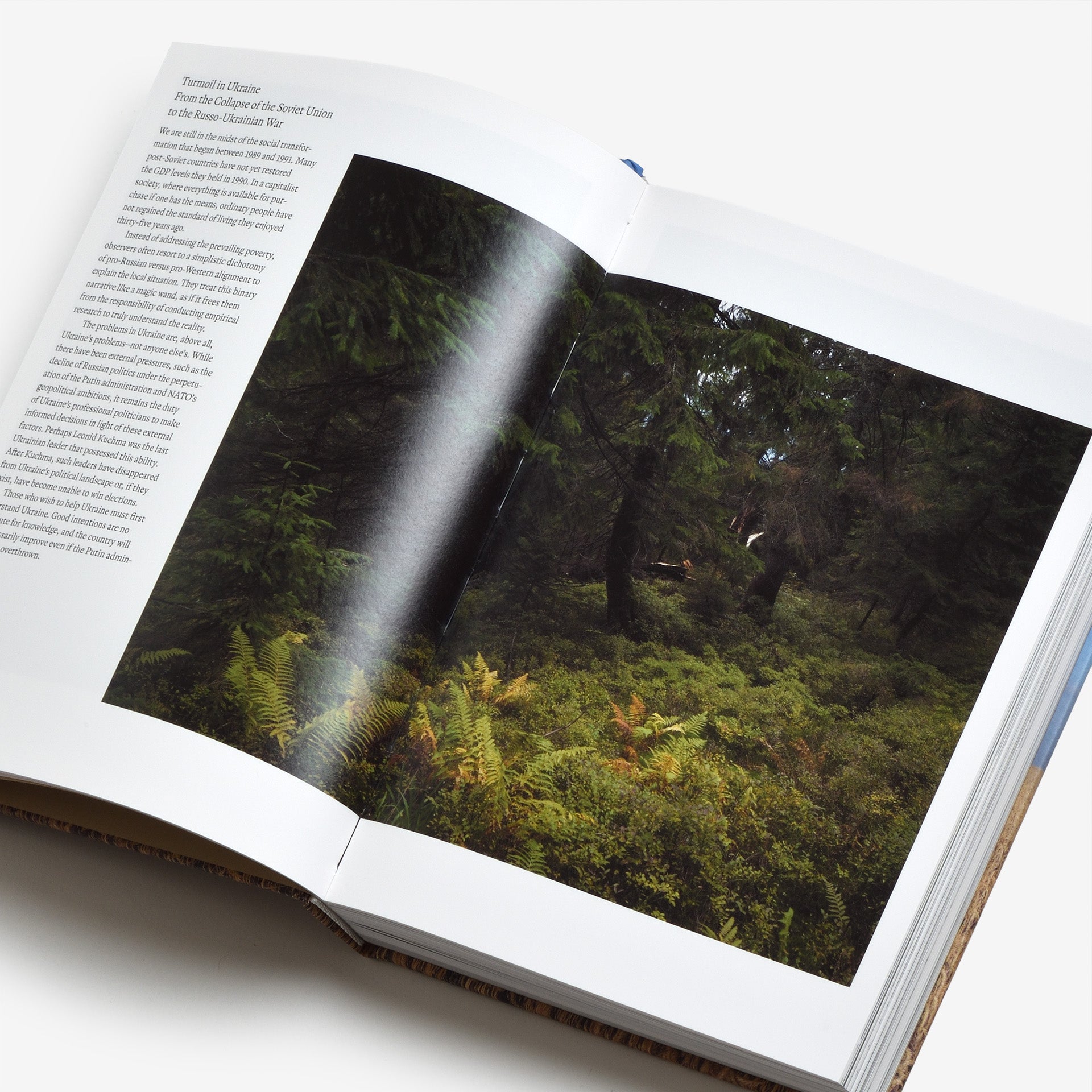 Yoshie Itasaka: Infinity Complex Landscap