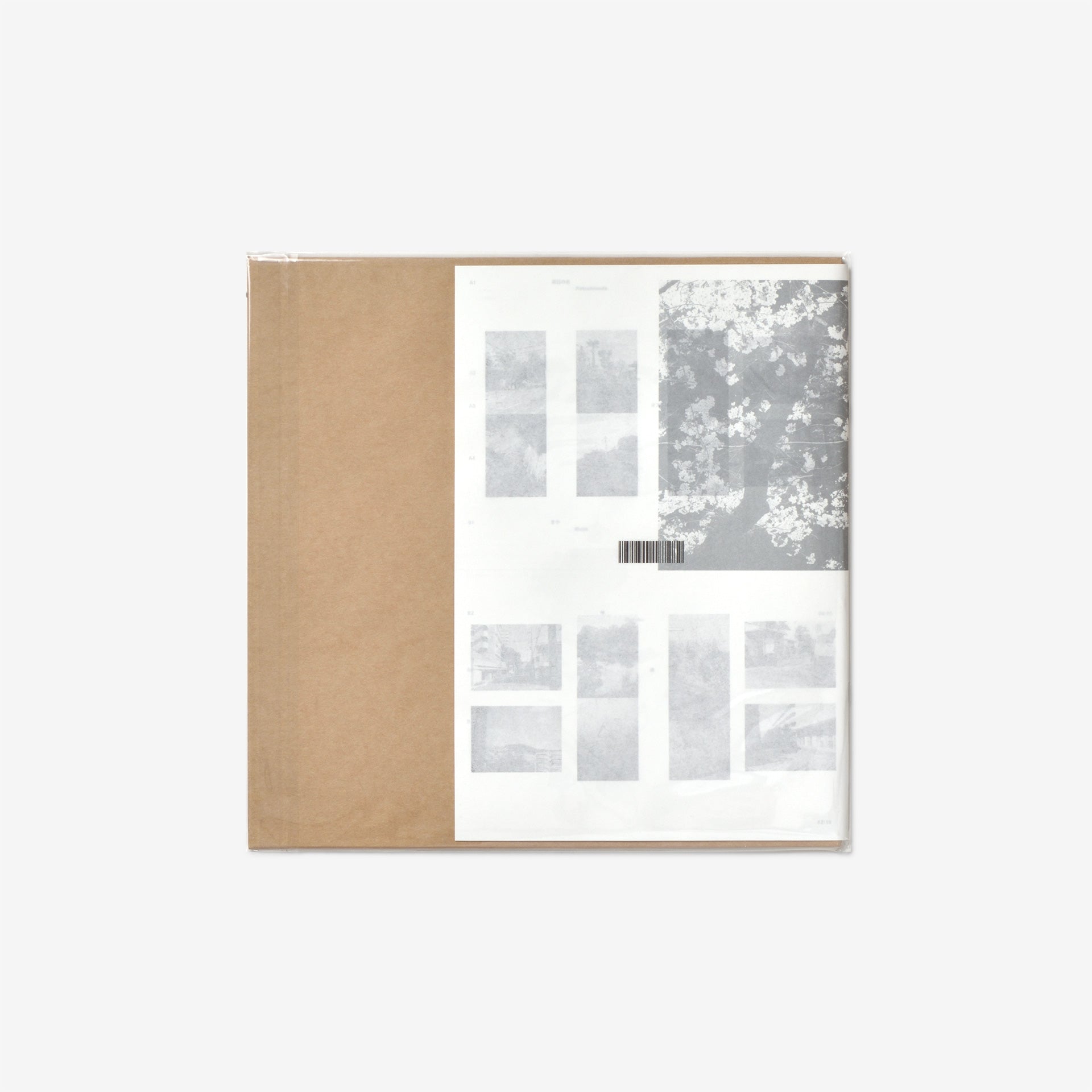 Masako Ohta, Matthias Lindermayr: Nozomi (Repress) | North East