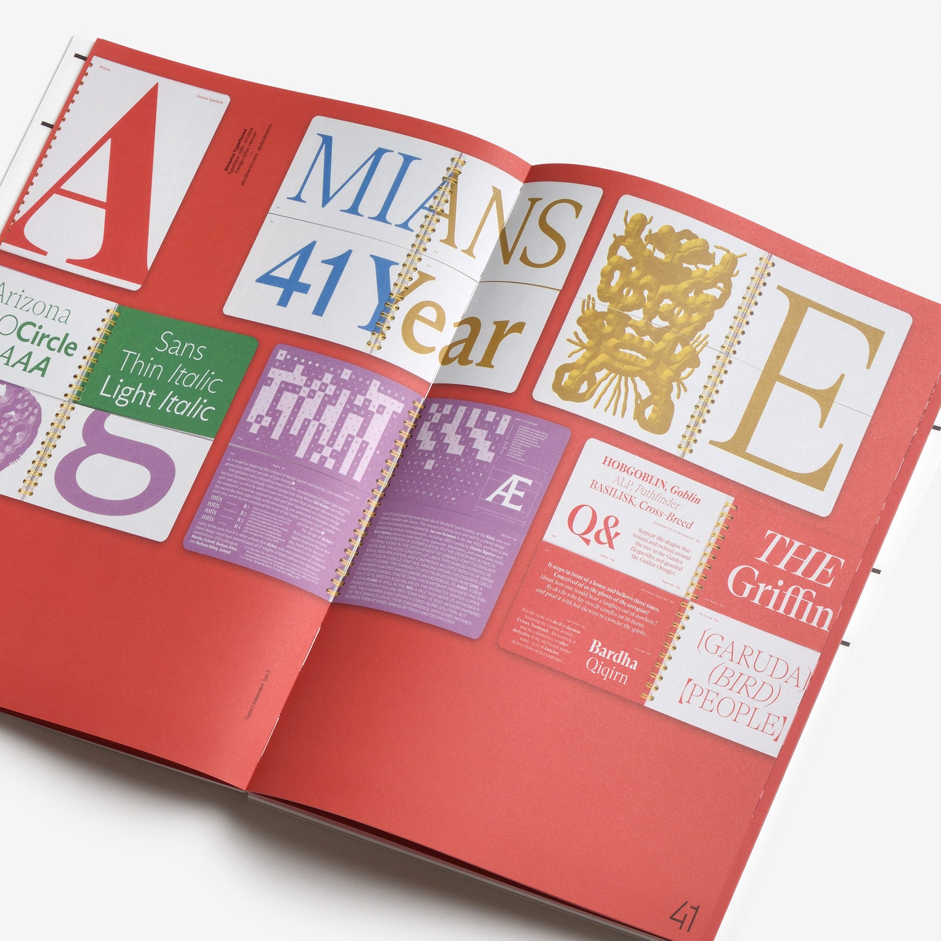 Support Independent Type II | North East