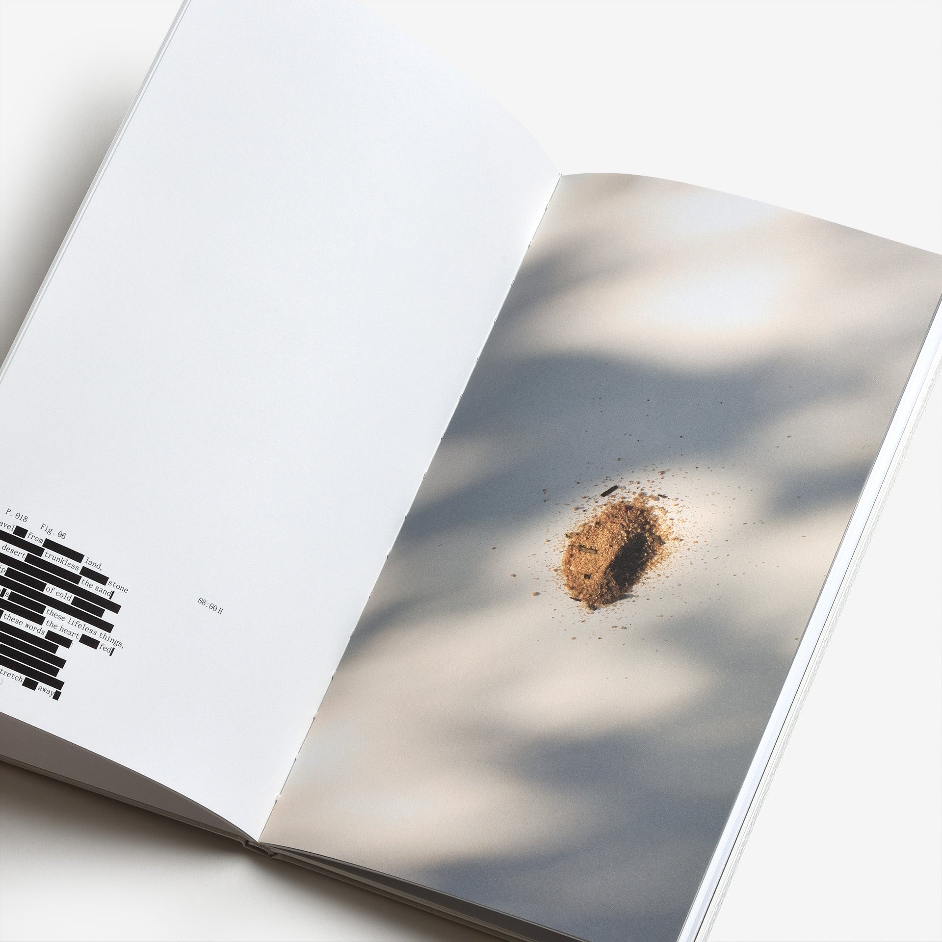 Frida Escobedo: The Book of Hours