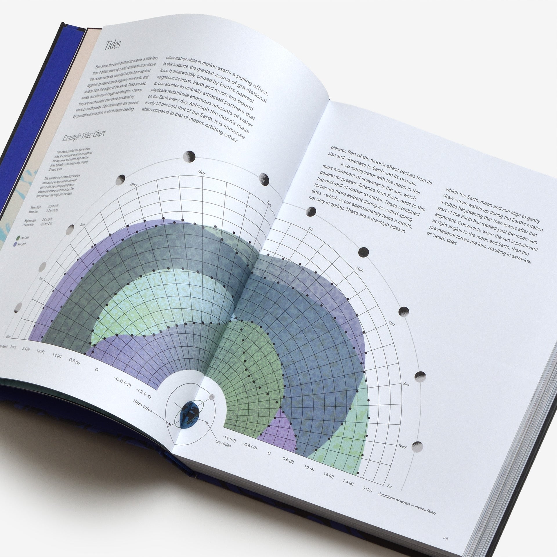 Ocean: From the Shore to the Abyss