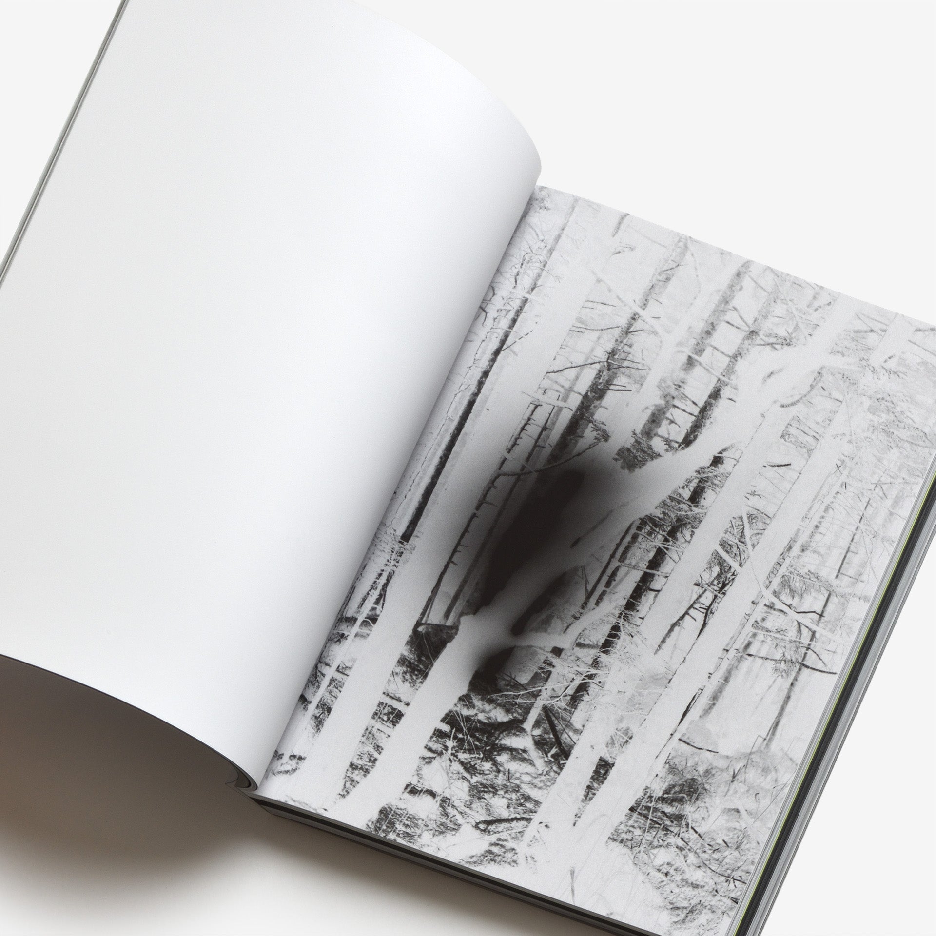 水谷太郎: 12000 | North East