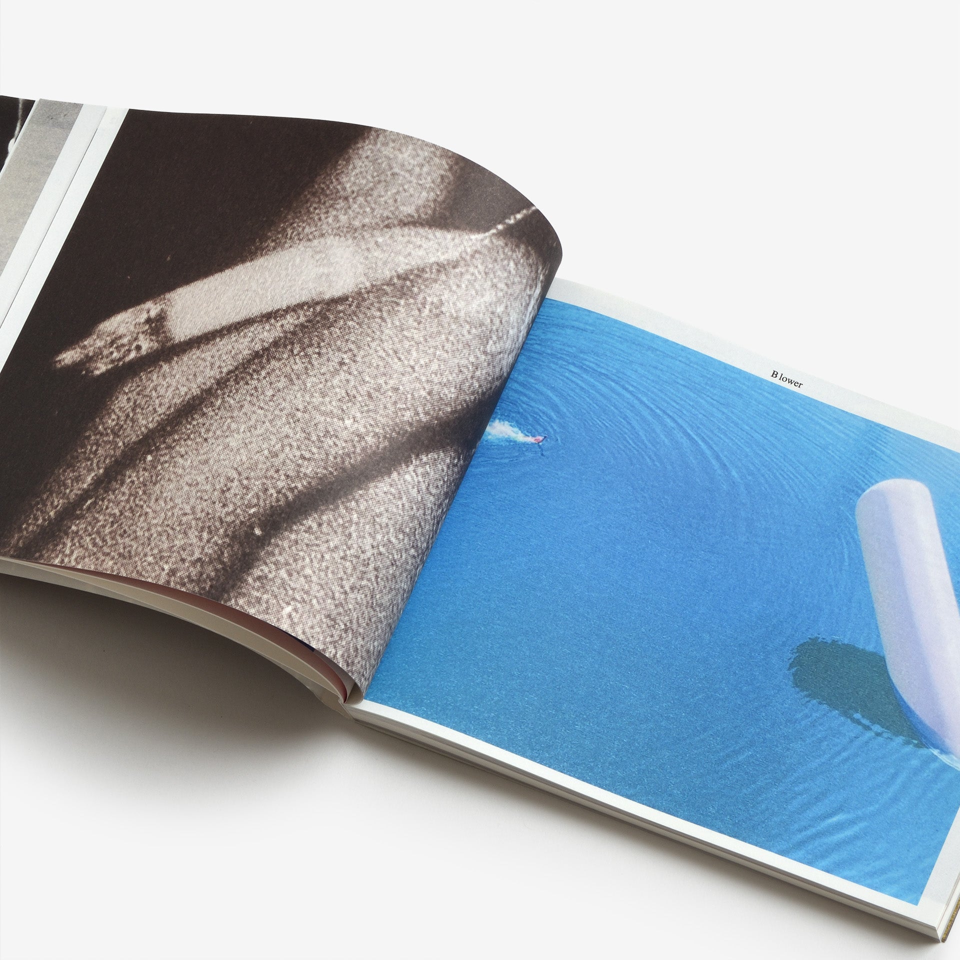 The Most Beautiful Swiss Books 2024