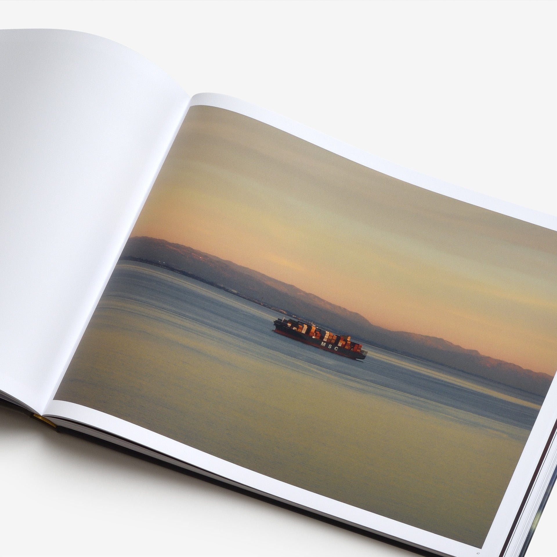 Richard Misrach: Cargo