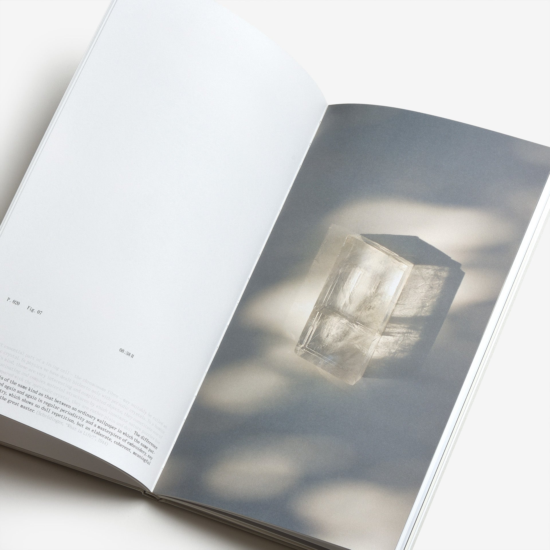 Frida Escobedo: The Book of Hours