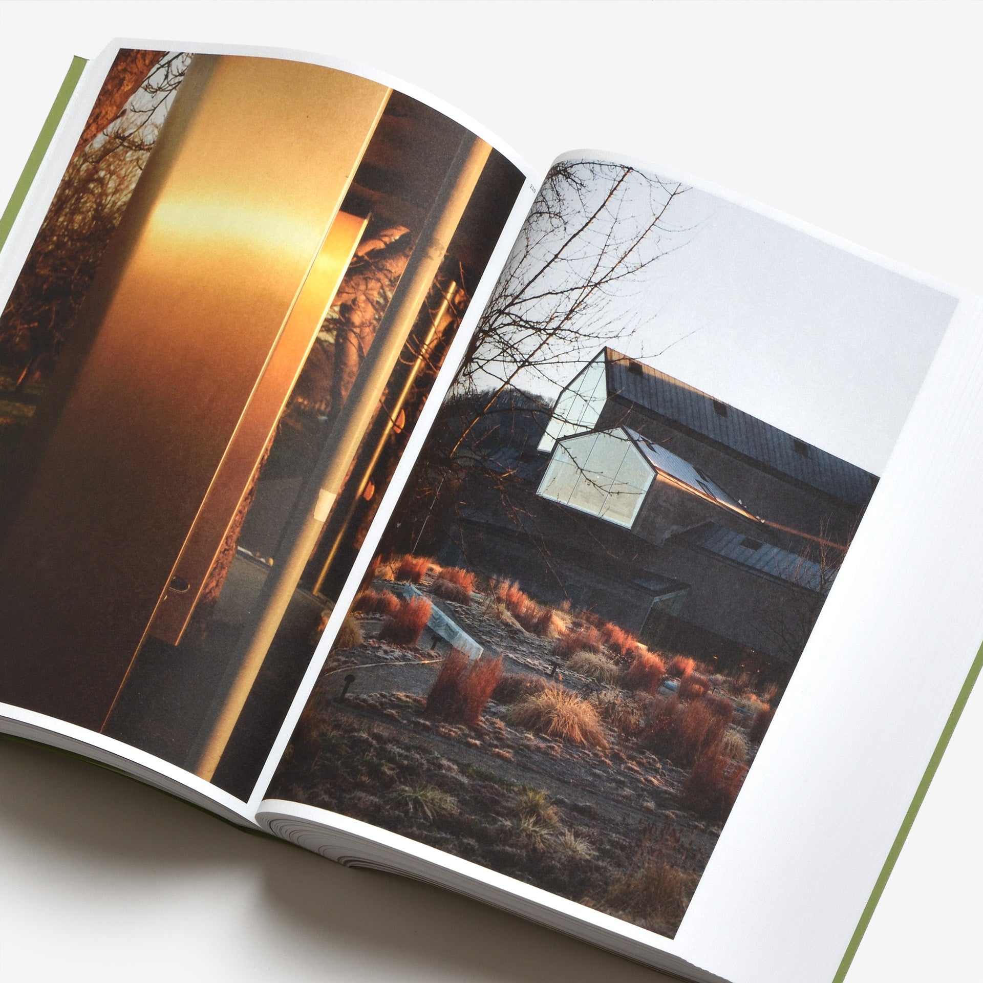 Aleix Plademunt: Sit, site, chair, cherry