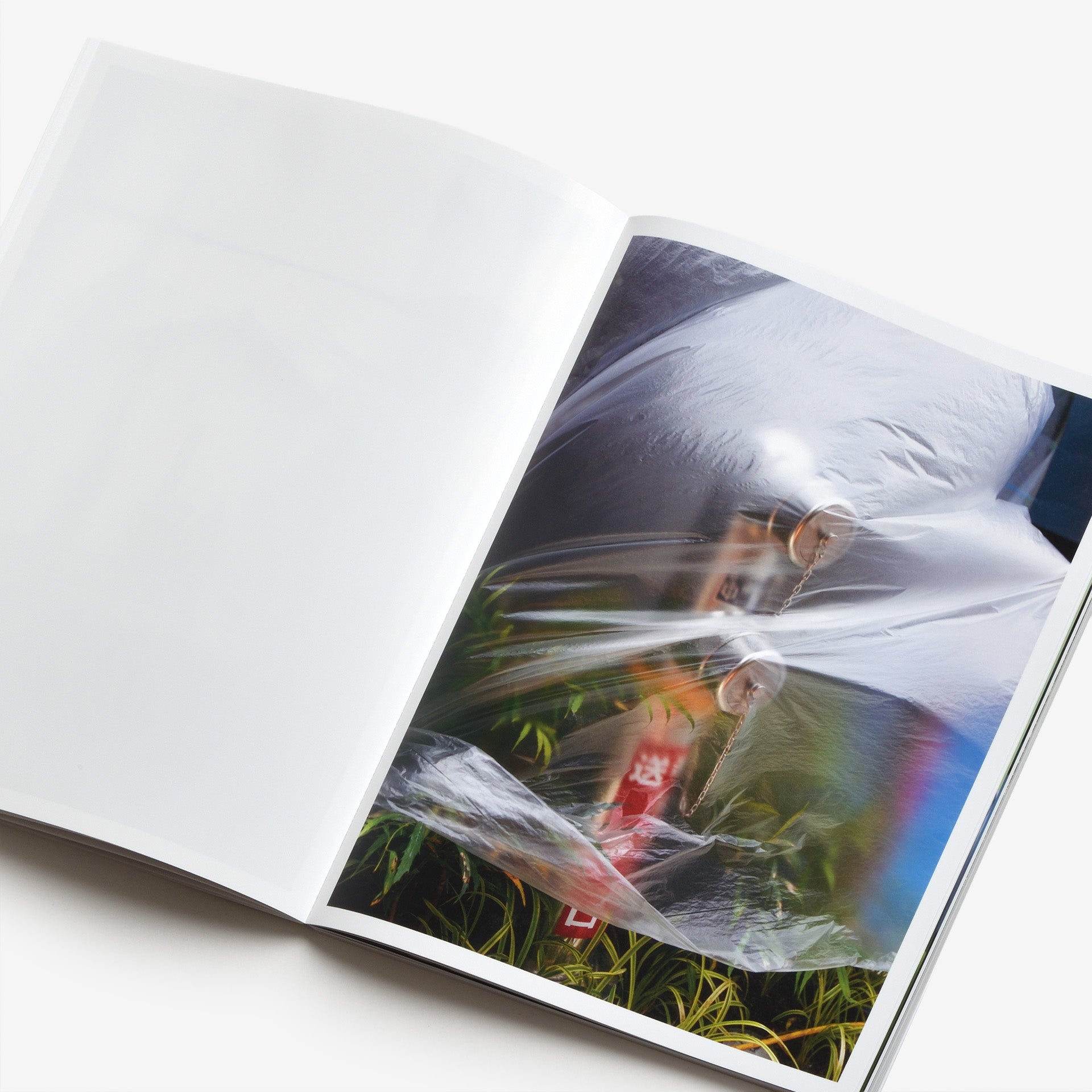 足立涼: I Want To Check The Shape Of Trees