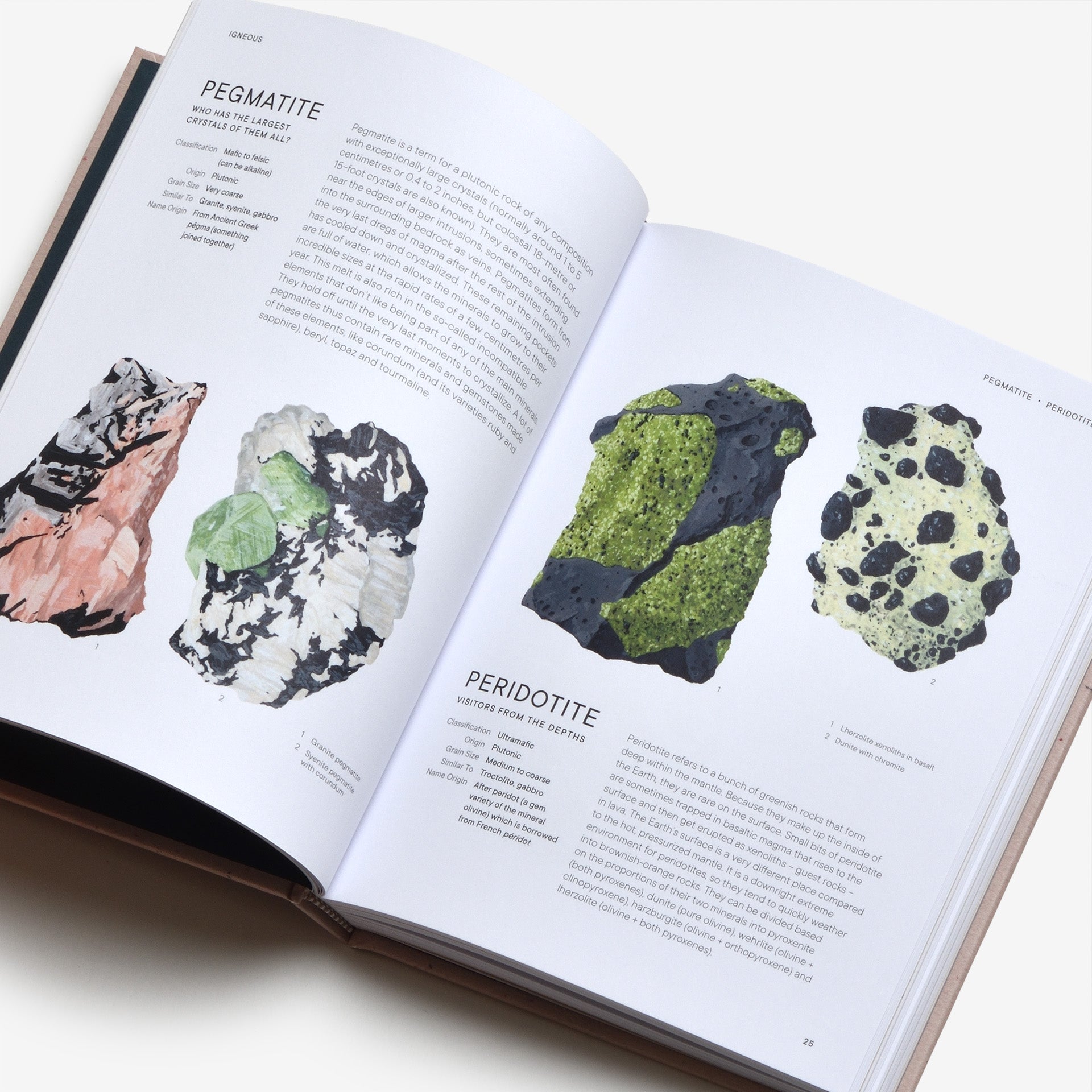 Rocks: A Guide to the Stones Around Us and the Stories They Tell