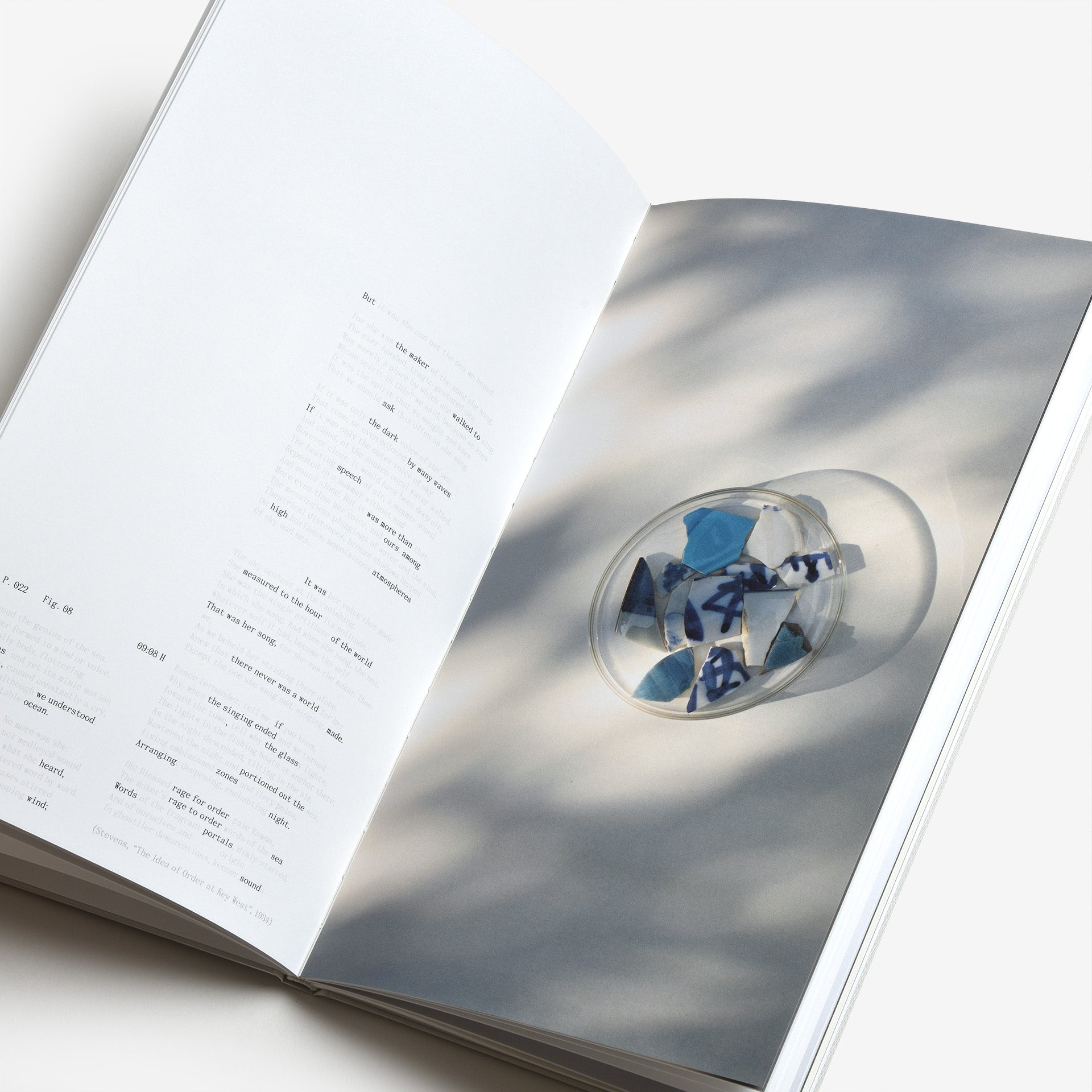 Frida Escobedo: The Book of Hours
