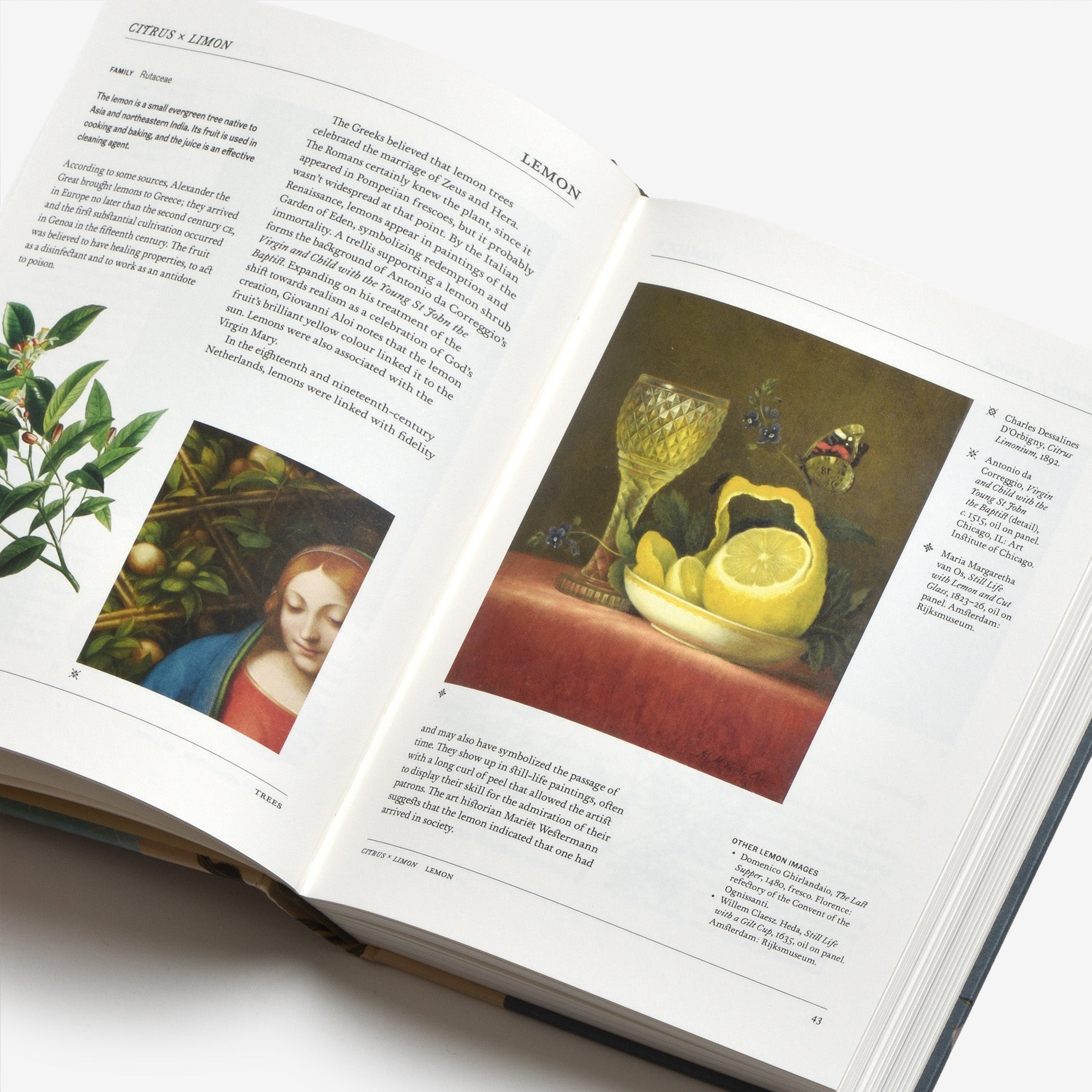 The Secret Language of Plants: Art, Nature & Symbolism