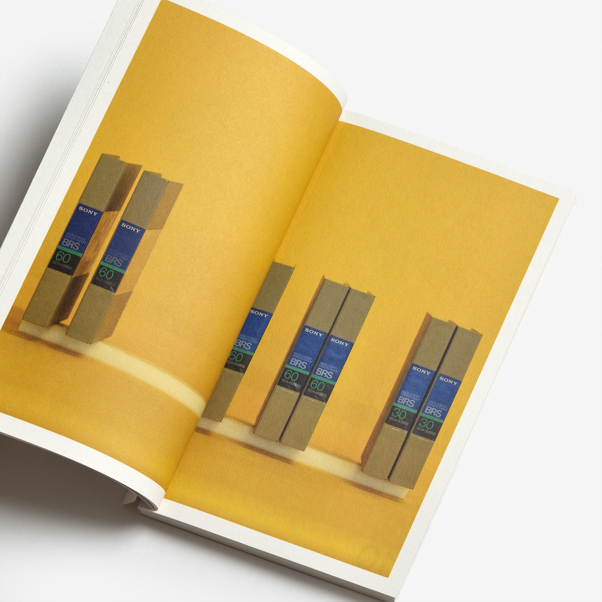 Lenard Smith: Melancholy Objects