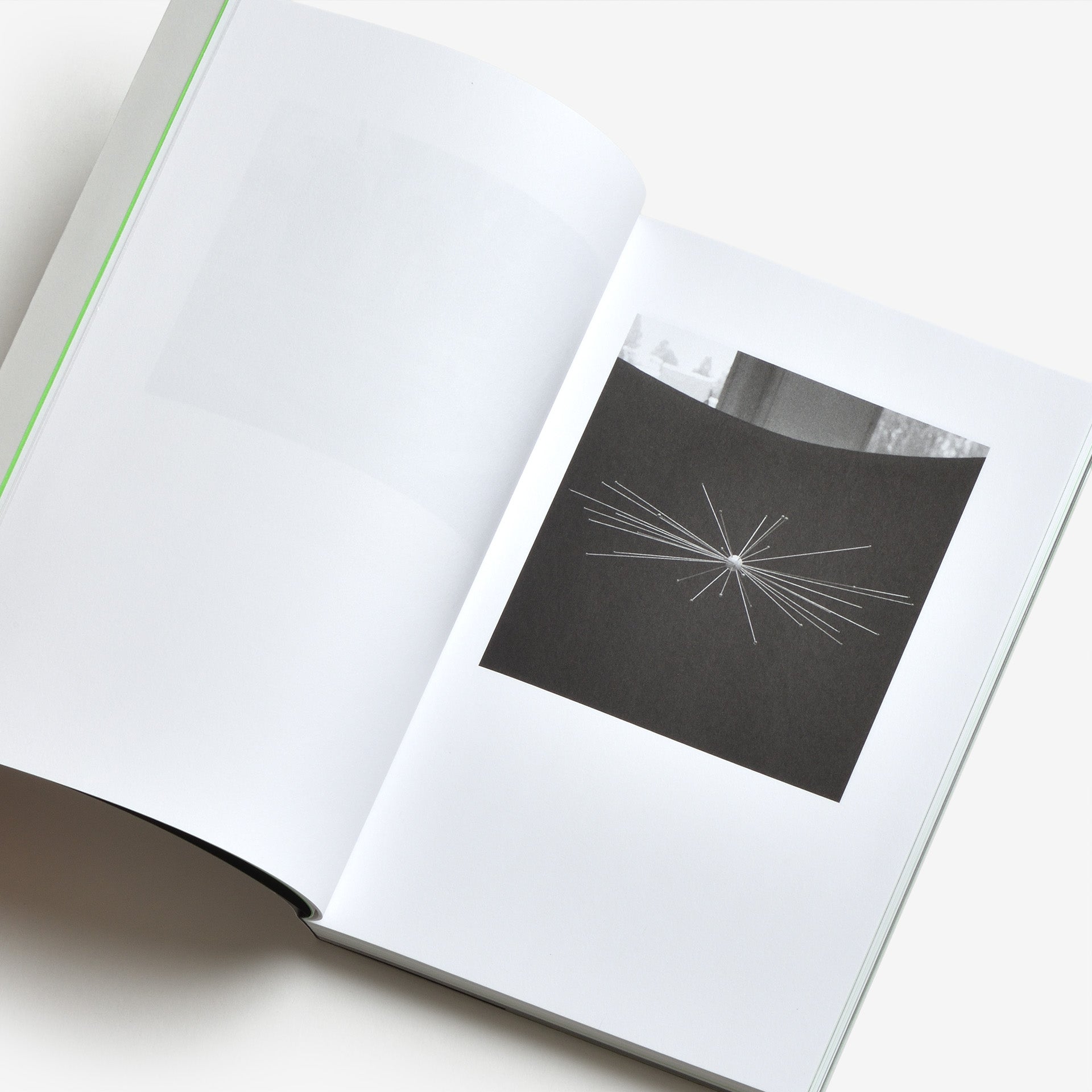 David Fathi: Wolfgang