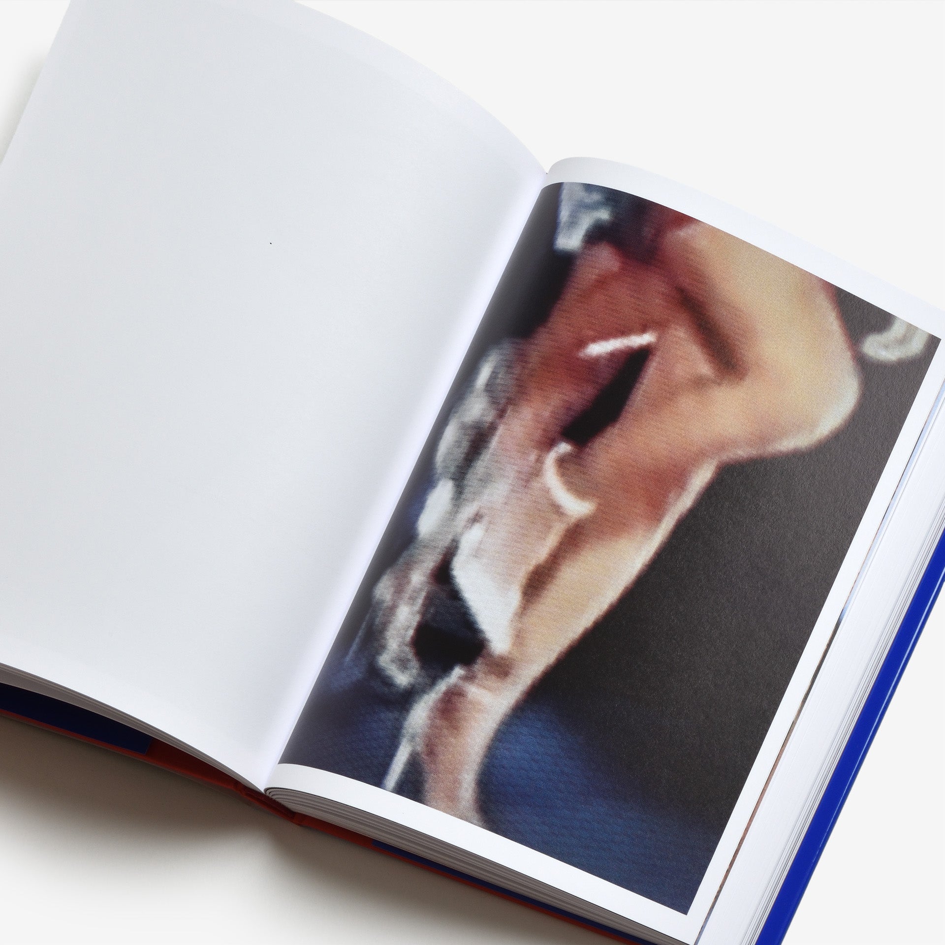 Carla Rossi: Bellissima