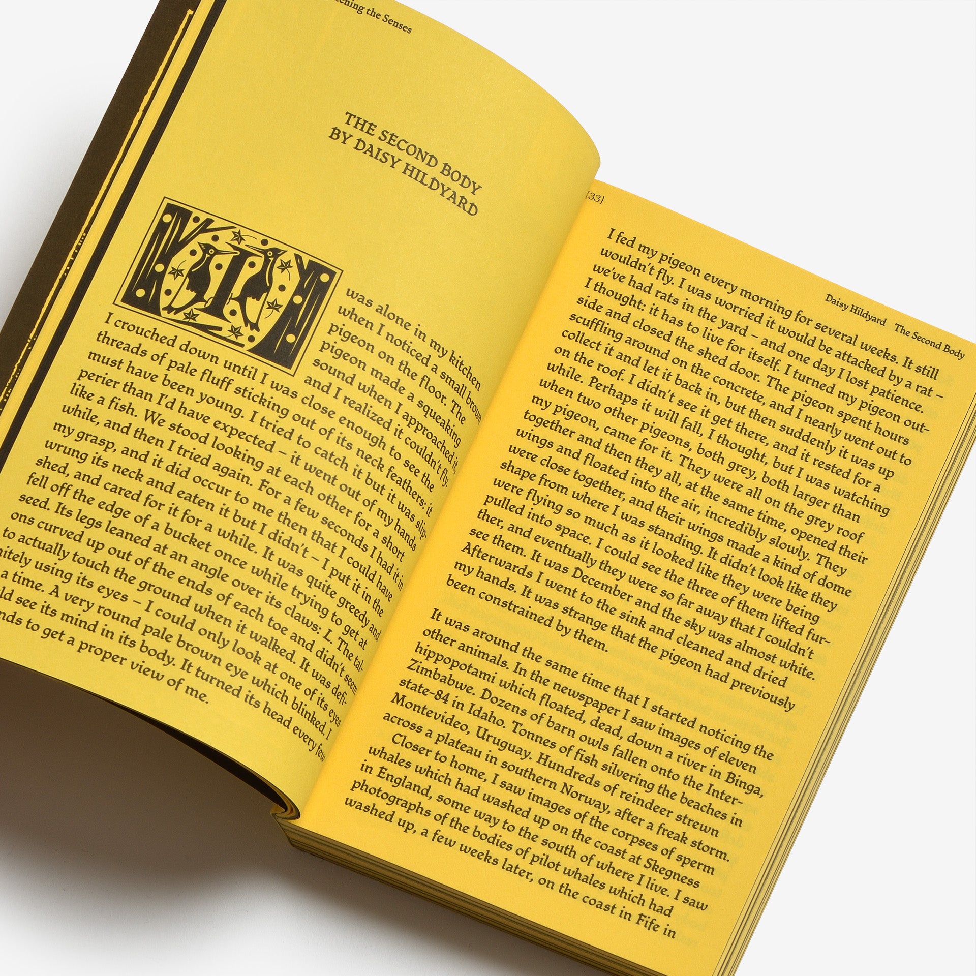 With a Bird, A Reader on Avian Kinship