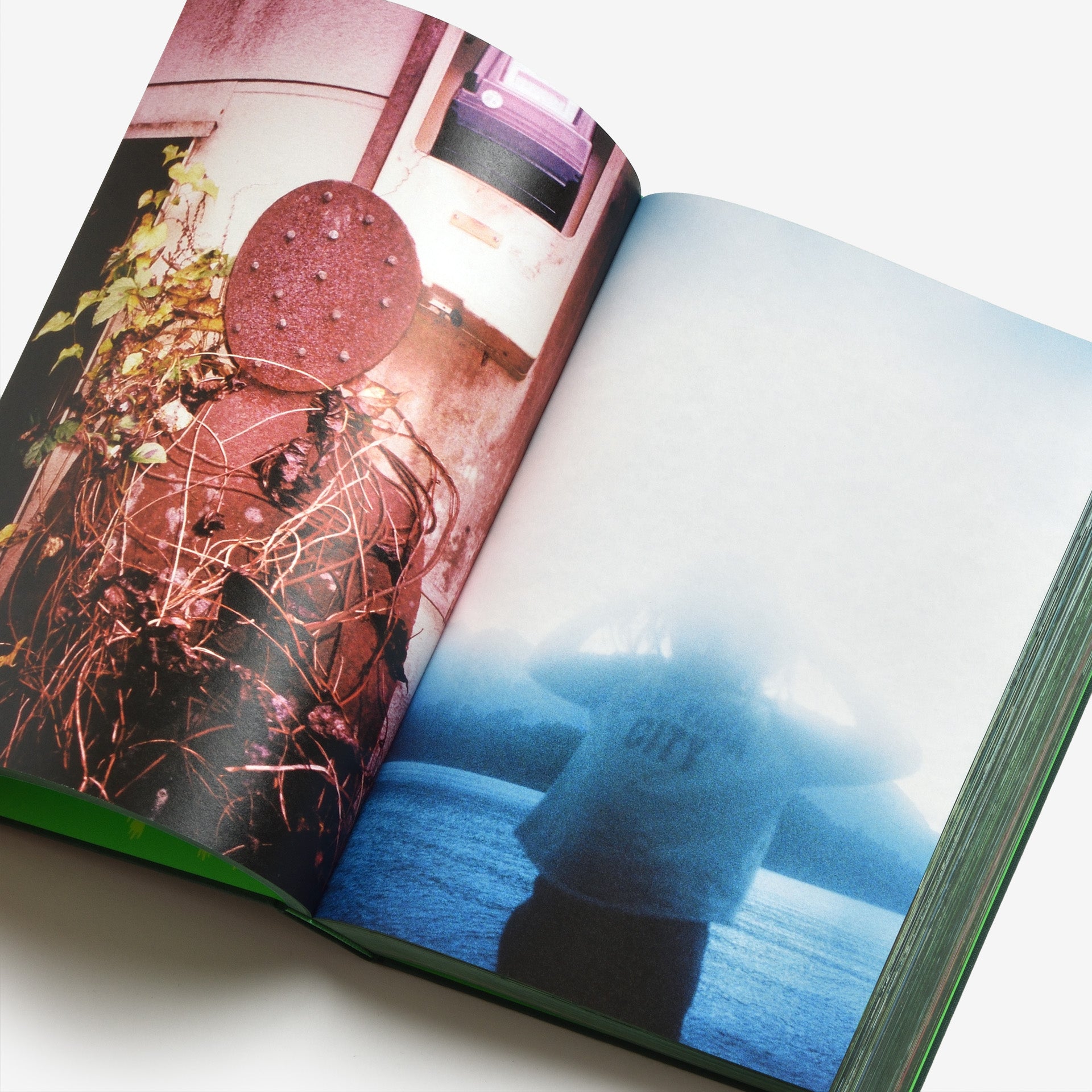 Misha Hollenbach: PSY LYF (B)